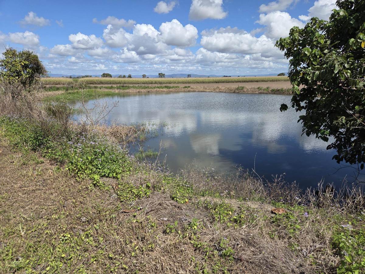 Lot 2,  Hawkins Creek Road, Hawkins Creek For Sale by Farmbuy.com - image 5