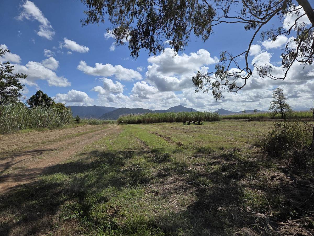 Lot 2,  Hawkins Creek Road, Hawkins Creek For Sale by Farmbuy.com - image 7