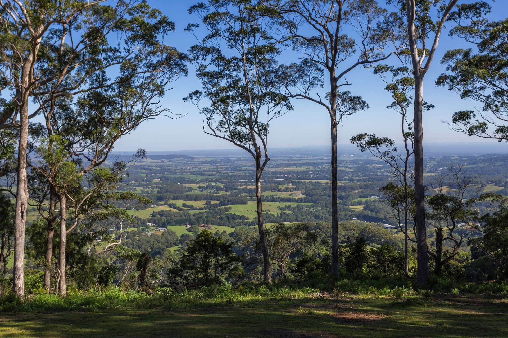 236a Tullouch Road, Broughton Vale For Sale by Farmbuy.com - image 18