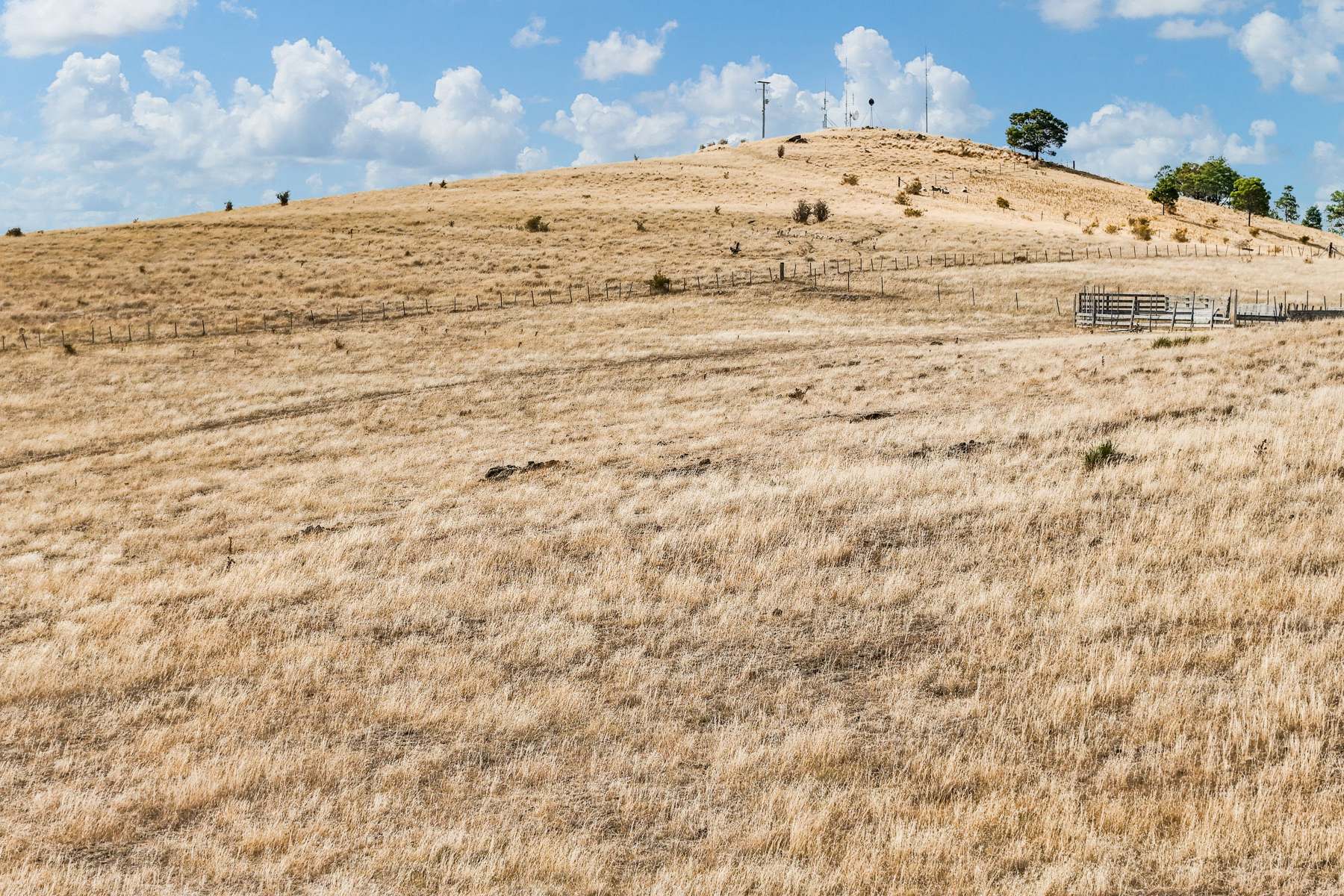 210 Briggs Road, Honeywood For Sale by Farmbuy.com - image 20