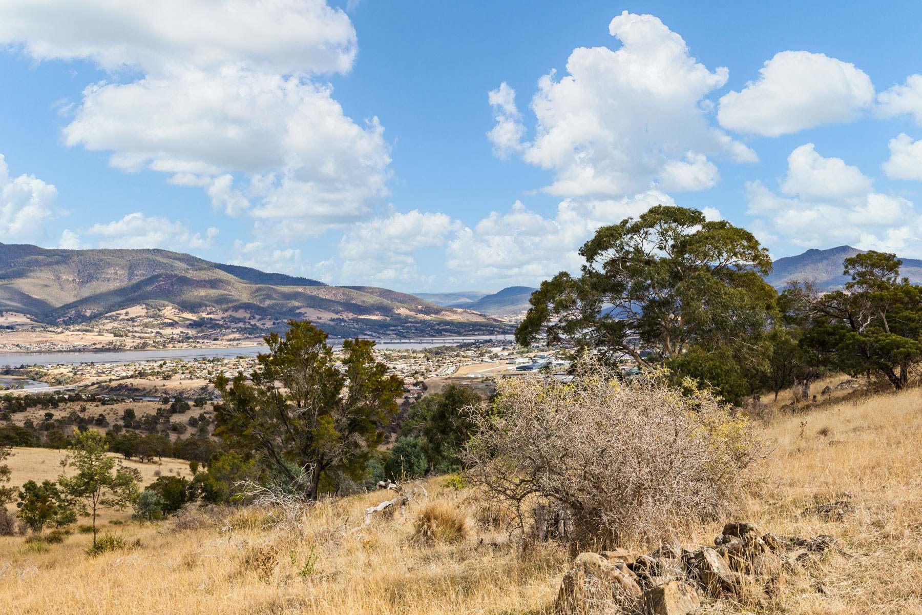 210 Briggs Road, Honeywood For Sale by Farmbuy.com - image 16