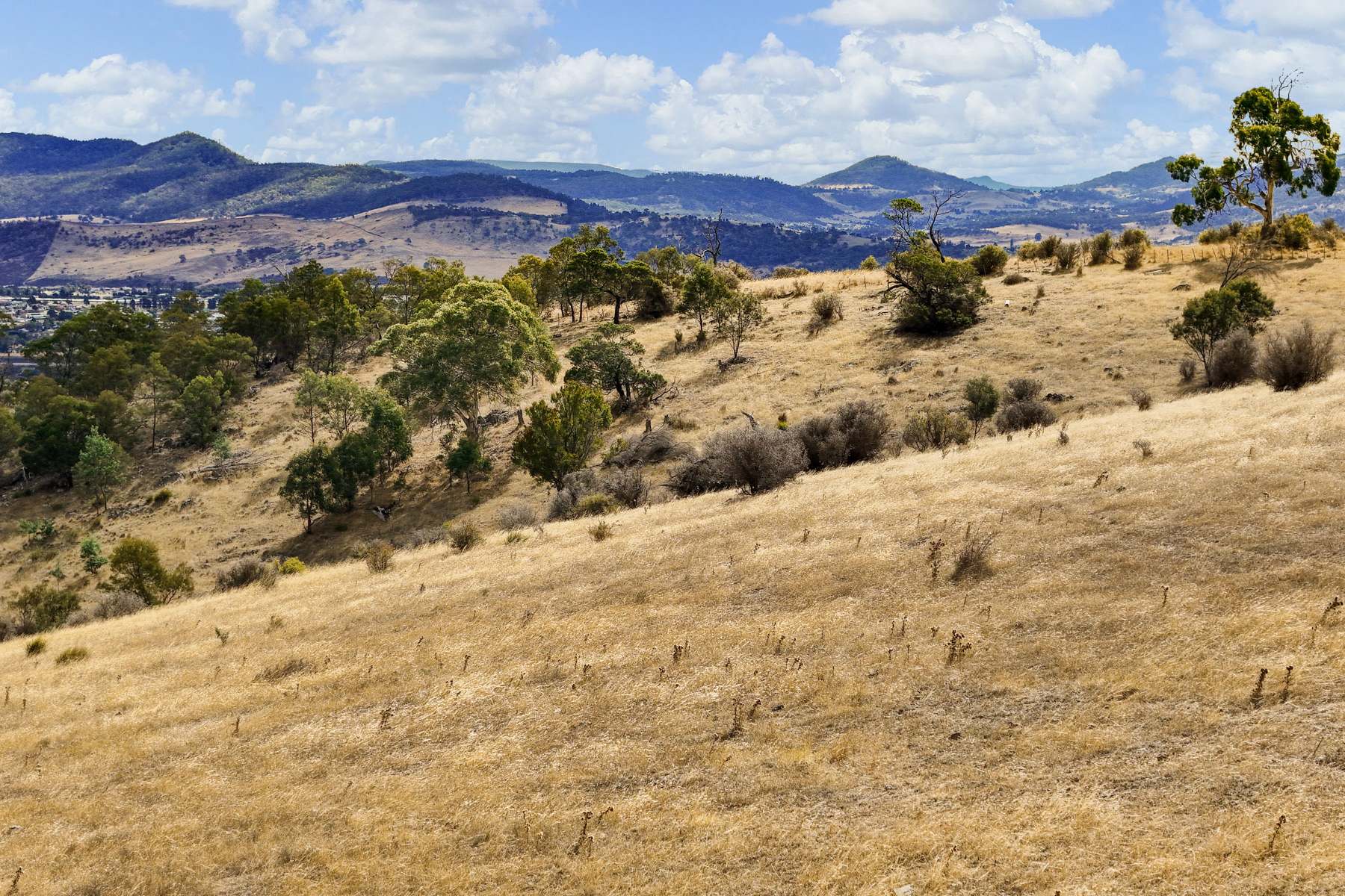 210 Briggs Road, Honeywood For Sale by Farmbuy.com - image 21