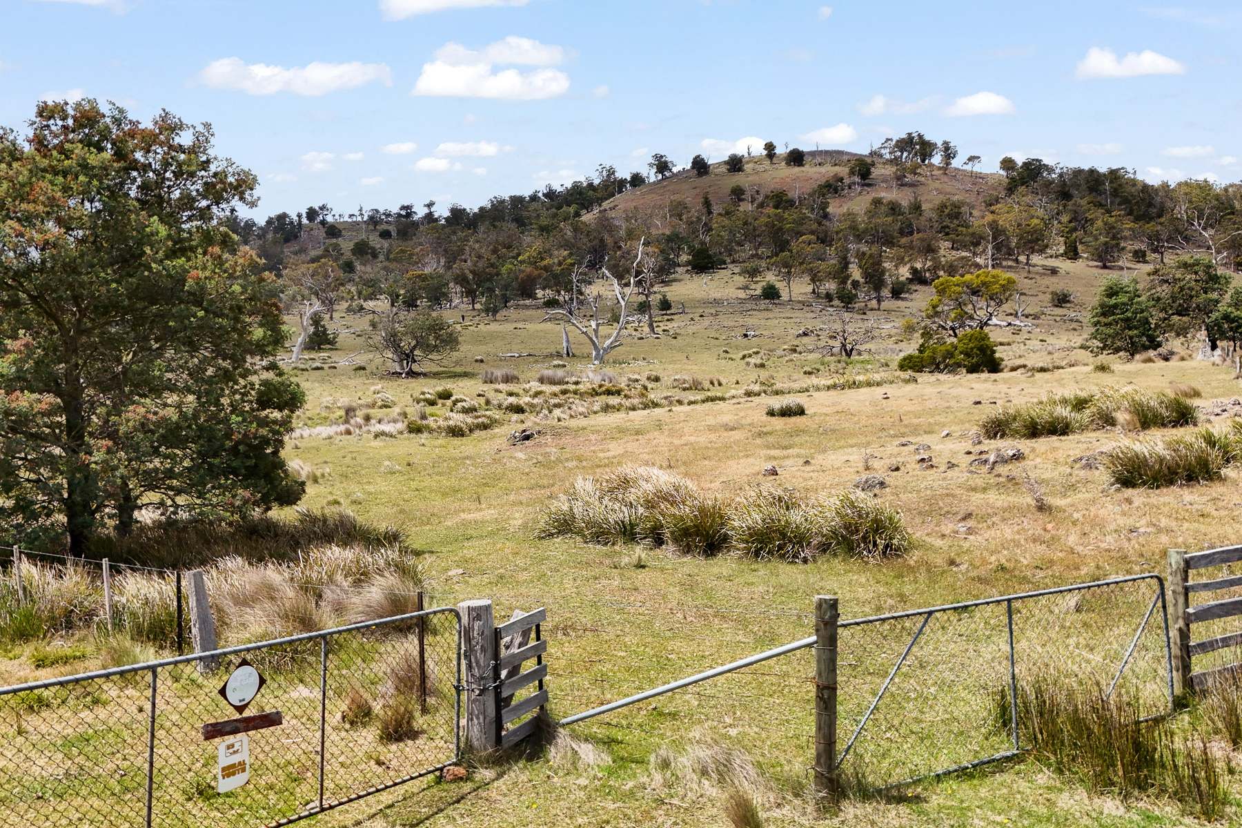"Kheme Hill" Eastwood Road, York Plains Sold by Farmbuy.com - image 2