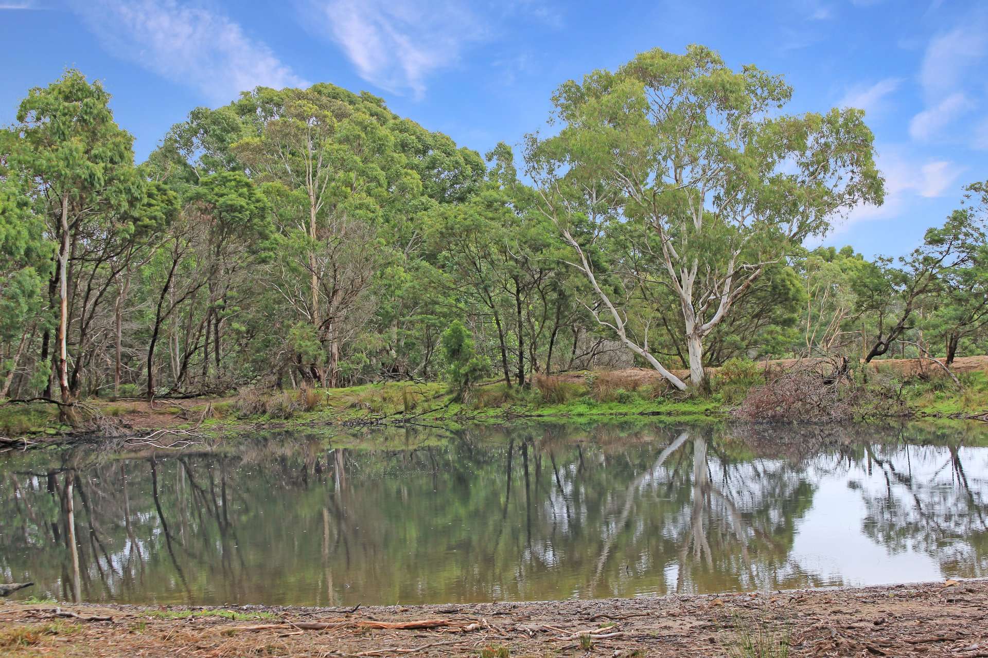 272 Inverary Road, Paddys River For Sale by Farmbuy.com - image 12