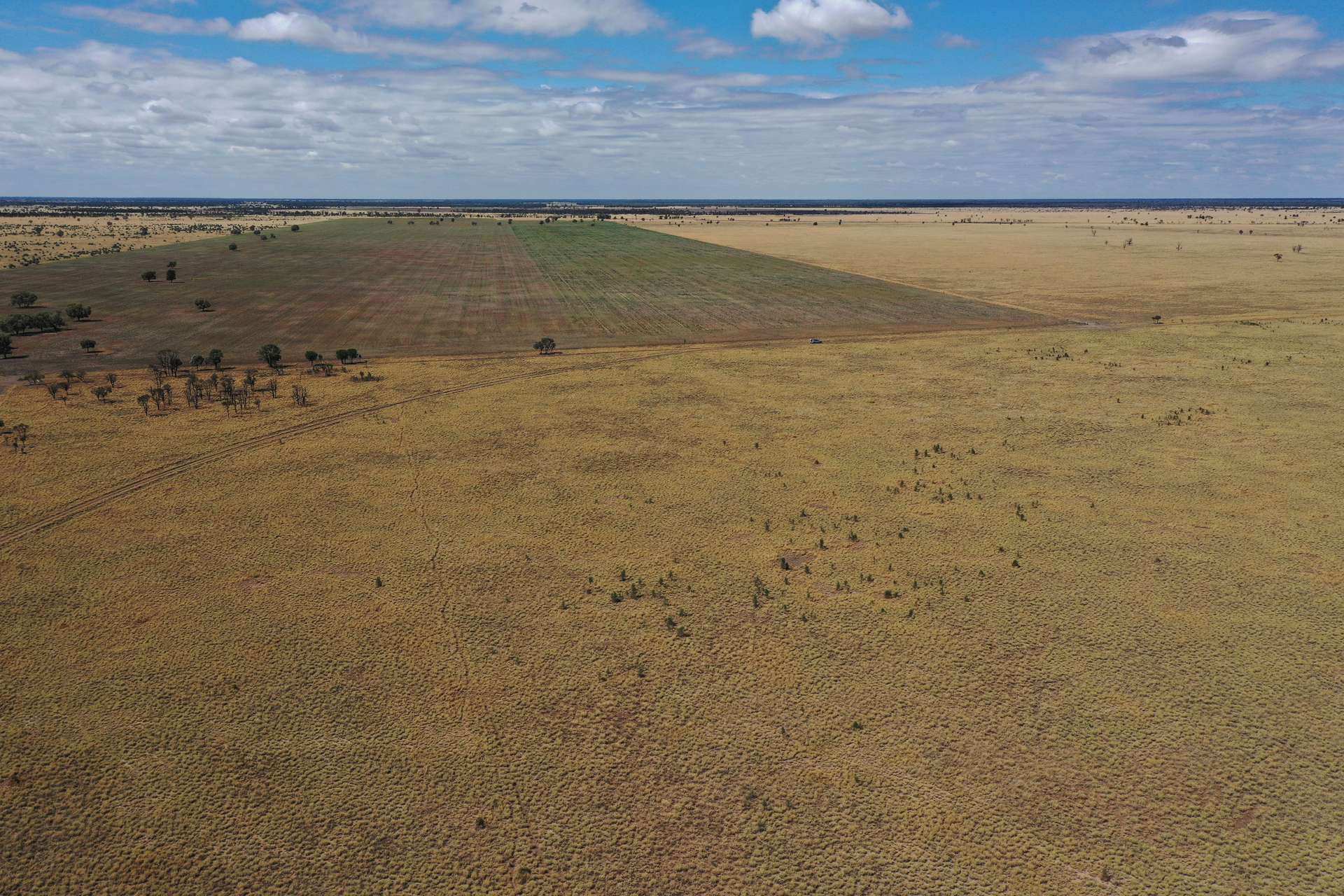 13724 Mitchell - St George Rd, St George For Sale by Farmbuy.com - image 13