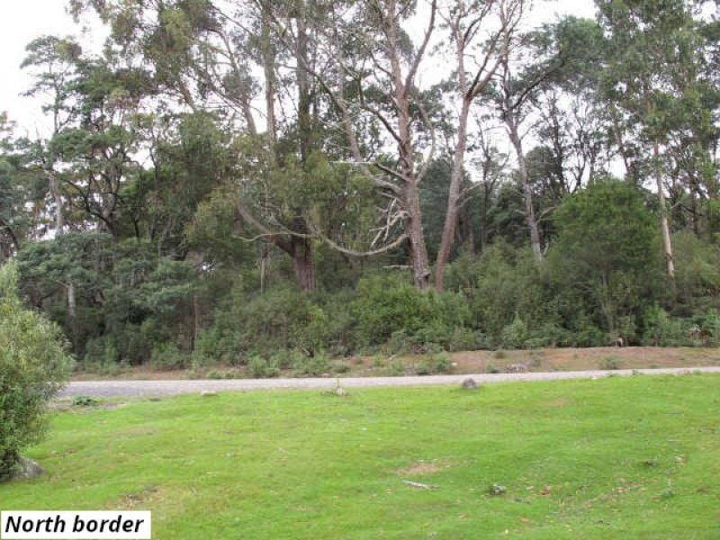 755 Lottah Road, Lottah For Sale by Farmbuy.com - image 3