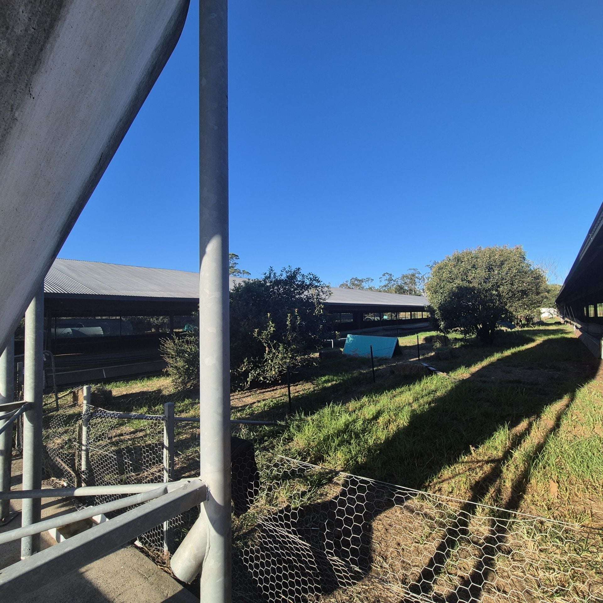 Mangrove Mountain For Sale by Farmbuy.com - image 6