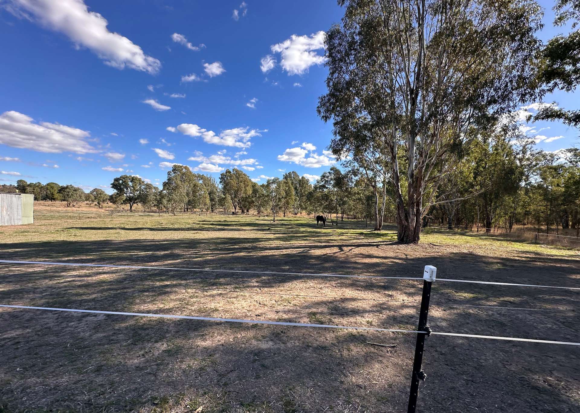 120 HIGHLANDS ROAD, Seymour For Sale by Farmbuy.com - image 29