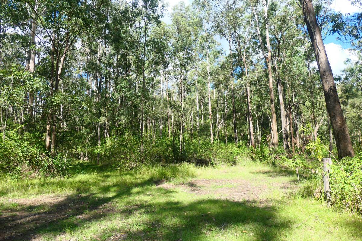 146 Mills Road, Bean Creek Sold by Farmbuy.com - image 11