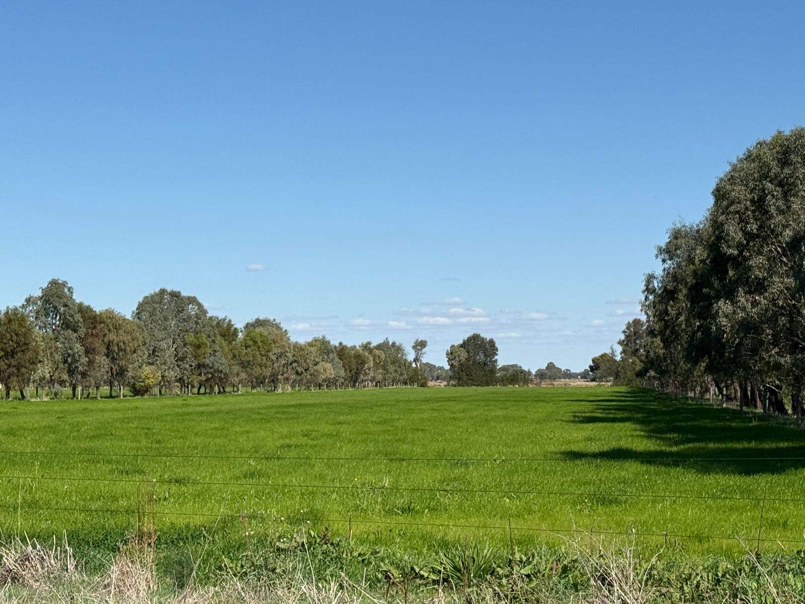5667 Murray Valley Highway, Wee Wee Rup For Sale by Farmbuy.com - image 2
