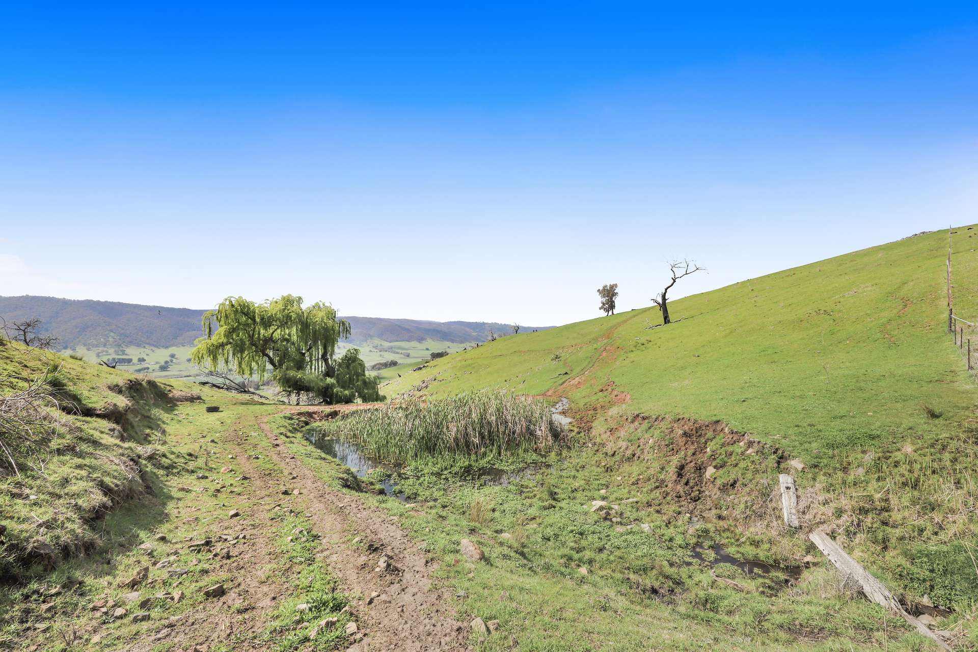 3 West Gilmore Road, Tumut For Sale by Farmbuy.com - image 11