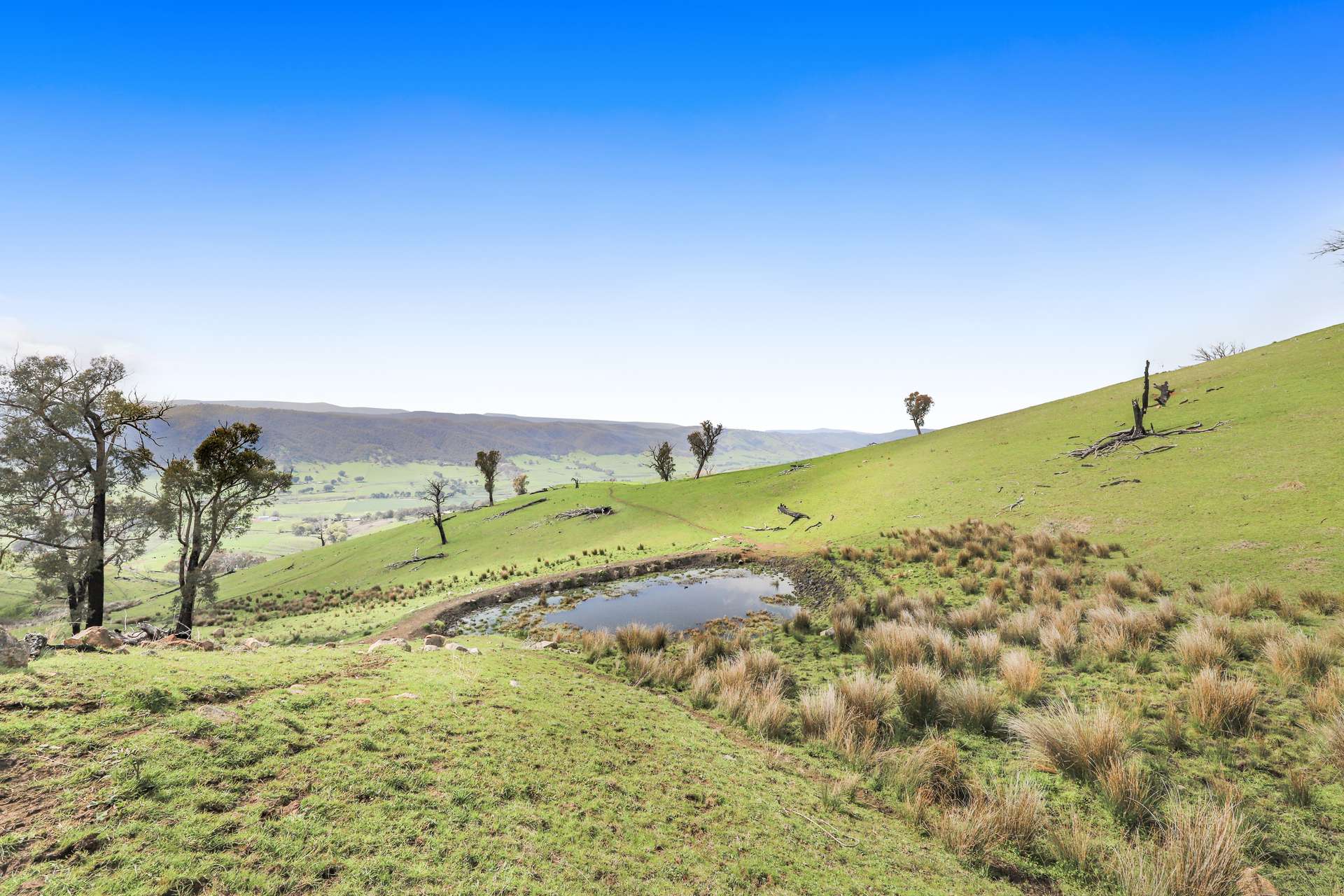 3 West Gilmore Road, Tumut For Sale by Farmbuy.com - image 10