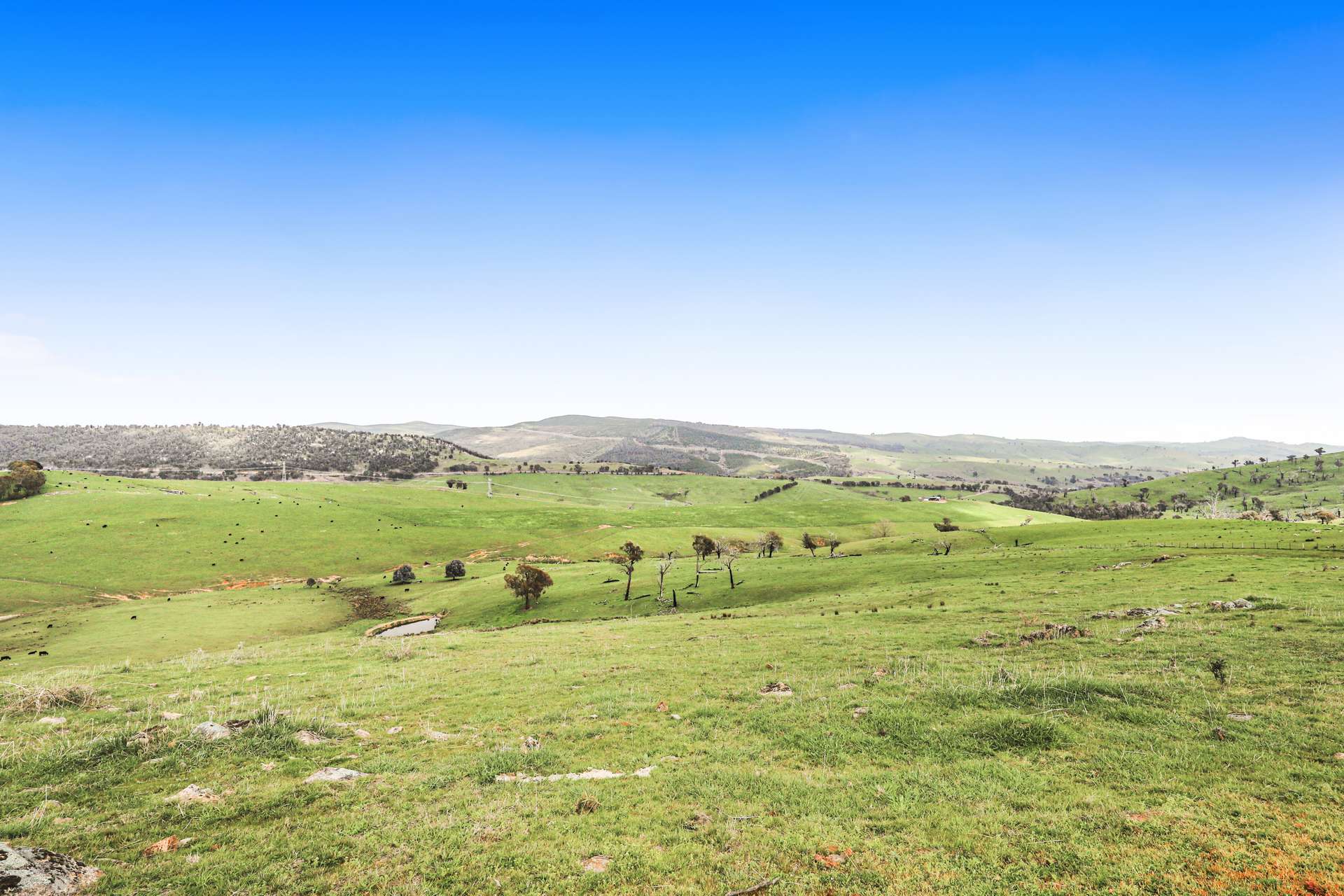 3 West Gilmore Road, Tumut For Sale by Farmbuy.com - image 9