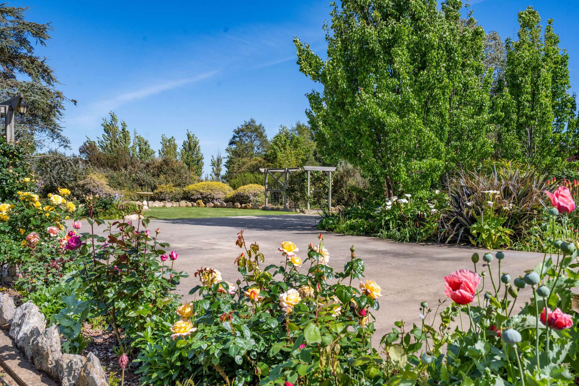 14687 Riddoch Hwy, Coonawarra For Sale by Farmbuy.com - image 6
