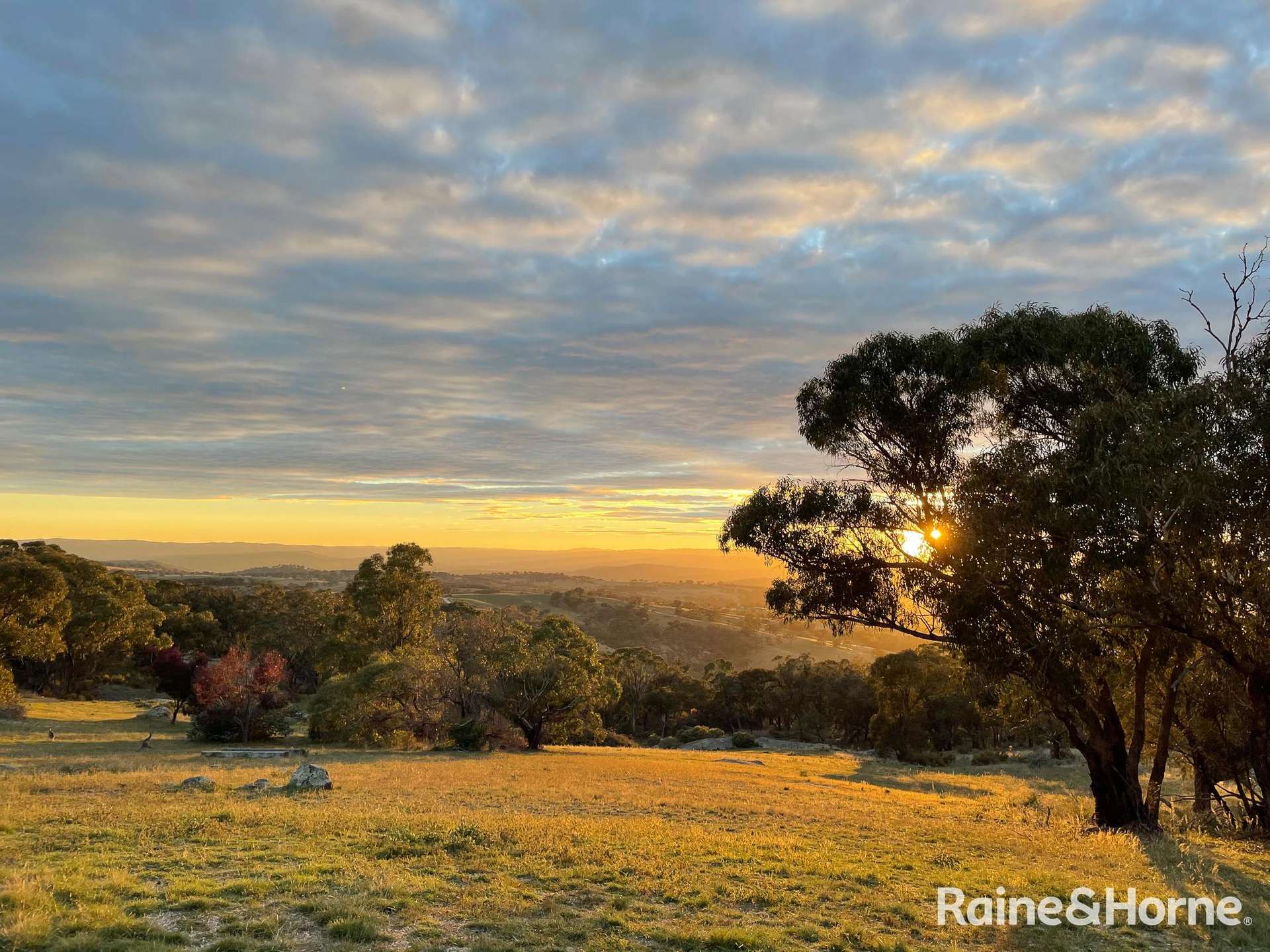 439 Whalans Lane, Mount Rankin For Sale by Farmbuy.com - image 23