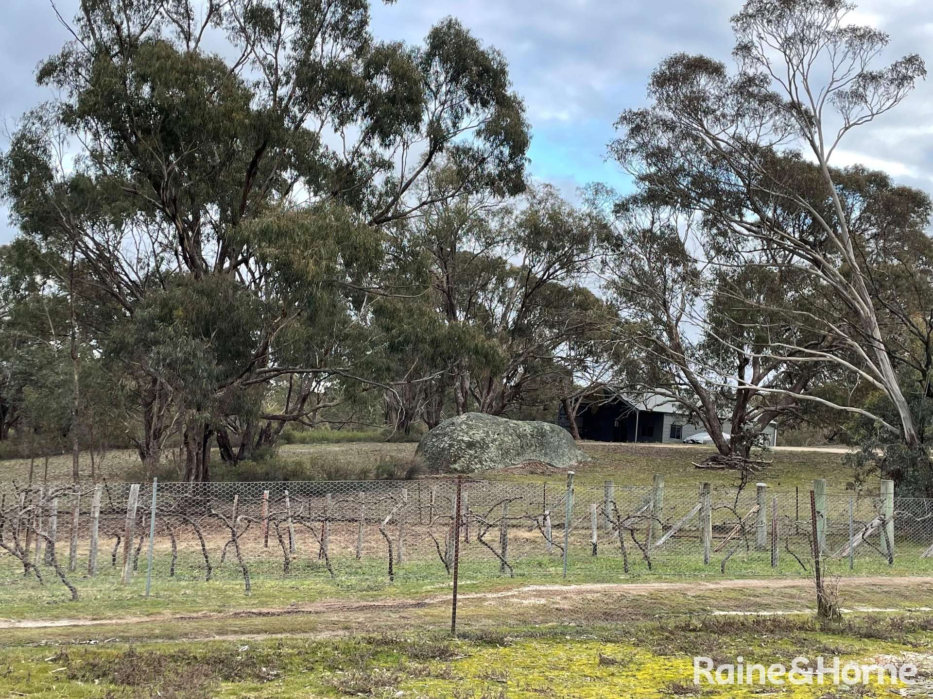 439 Whalans Lane, Mount Rankin For Sale by Farmbuy.com - image 29