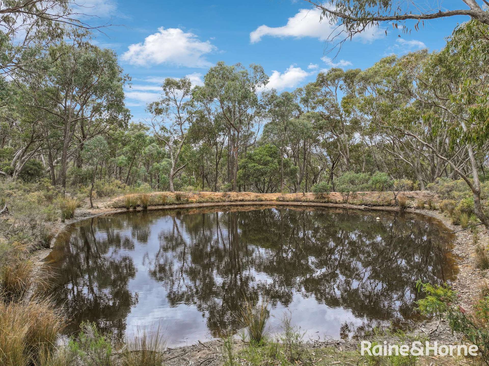 439 Whalans Lane, Mount Rankin For Sale by Farmbuy.com - image 28