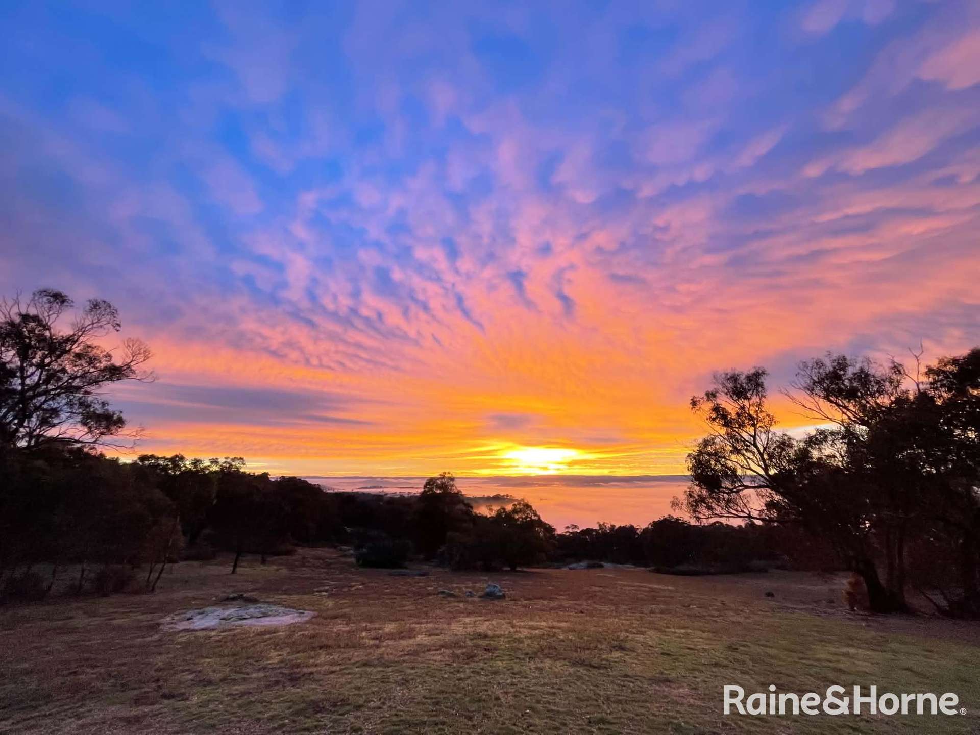 439 Whalans Lane, Mount Rankin For Sale by Farmbuy.com - image 32