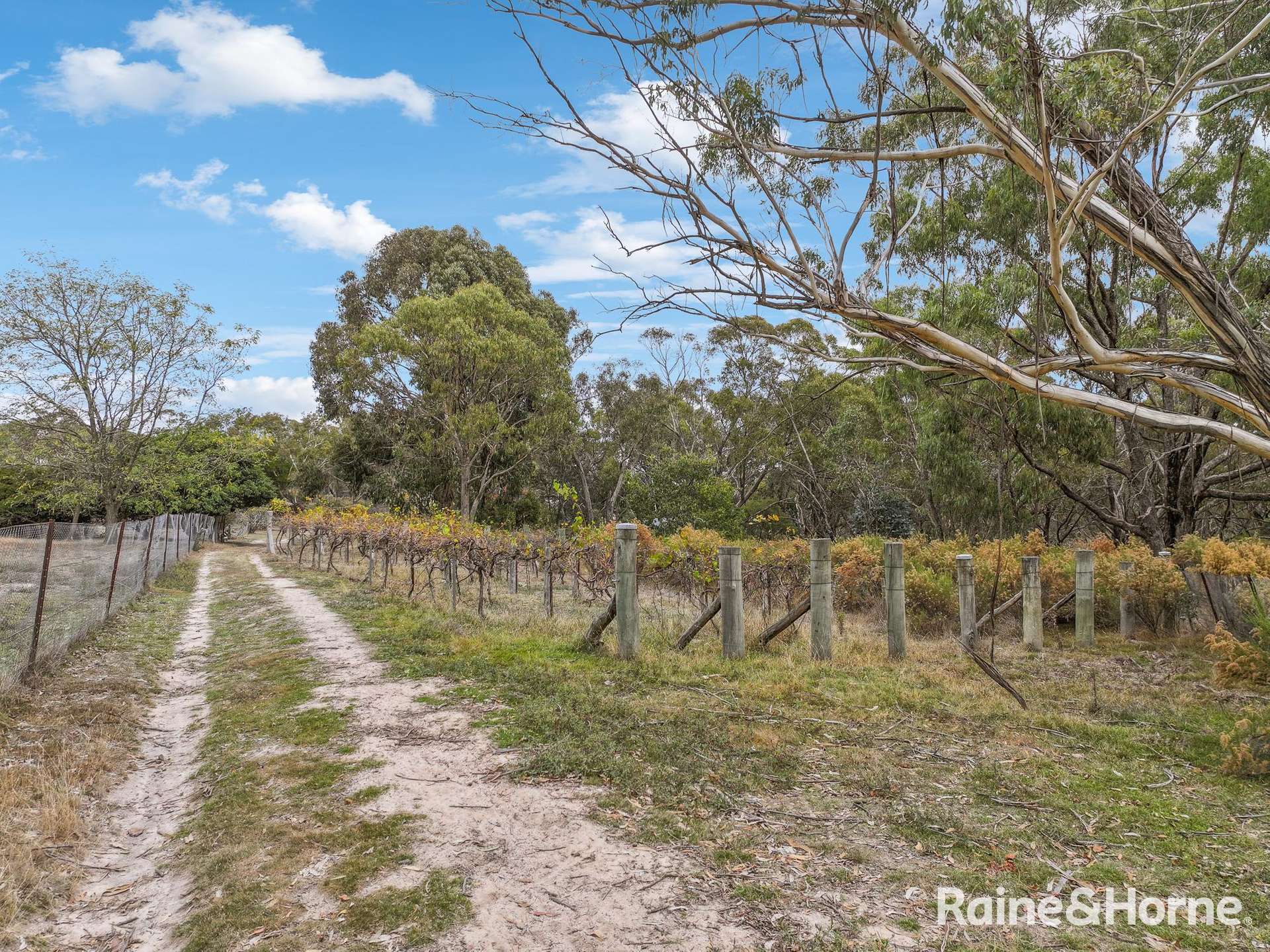 439 Whalans Lane, Mount Rankin For Sale by Farmbuy.com - image 35