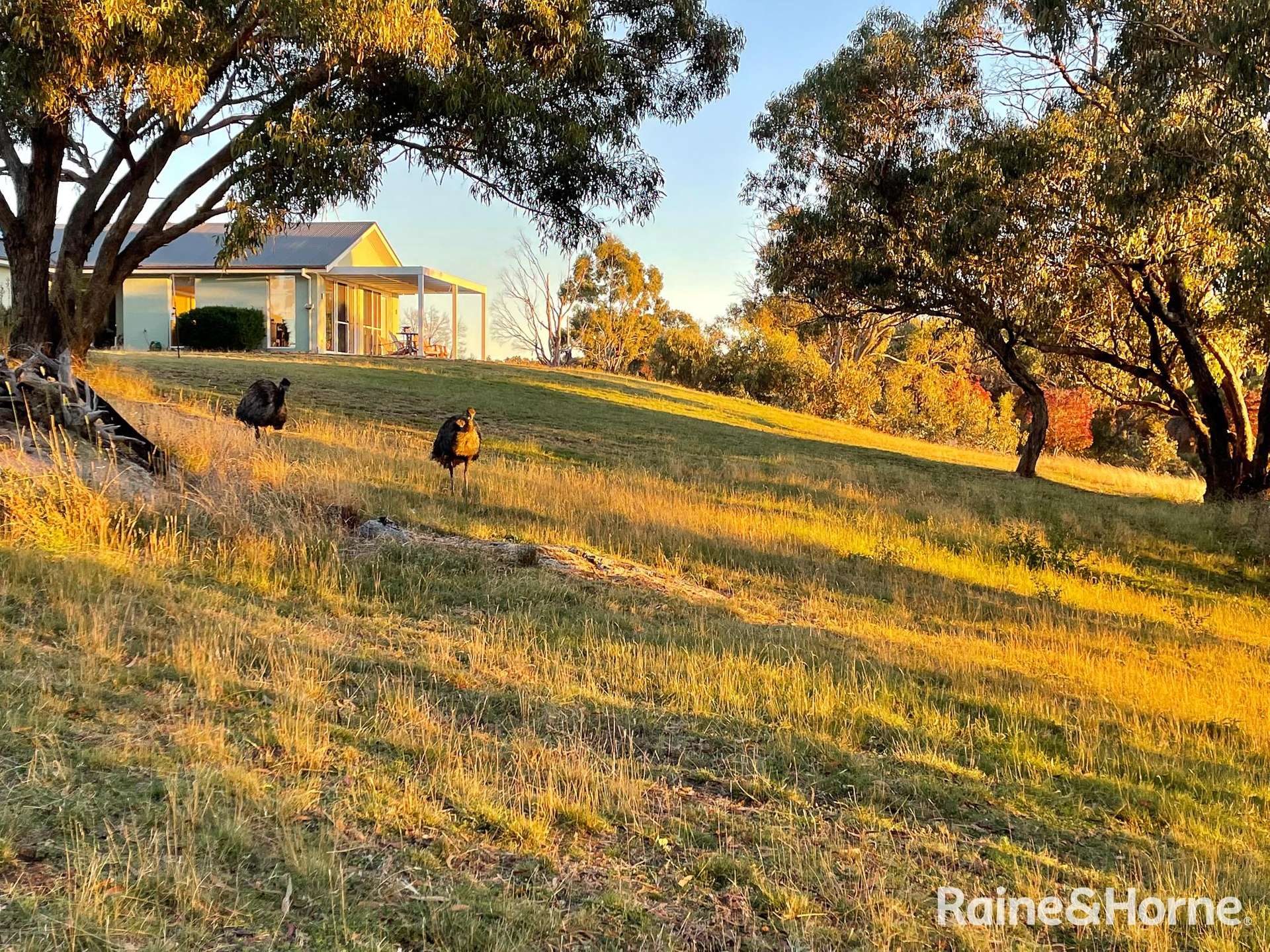 439 Whalans Lane, Mount Rankin For Sale by Farmbuy.com - image 24