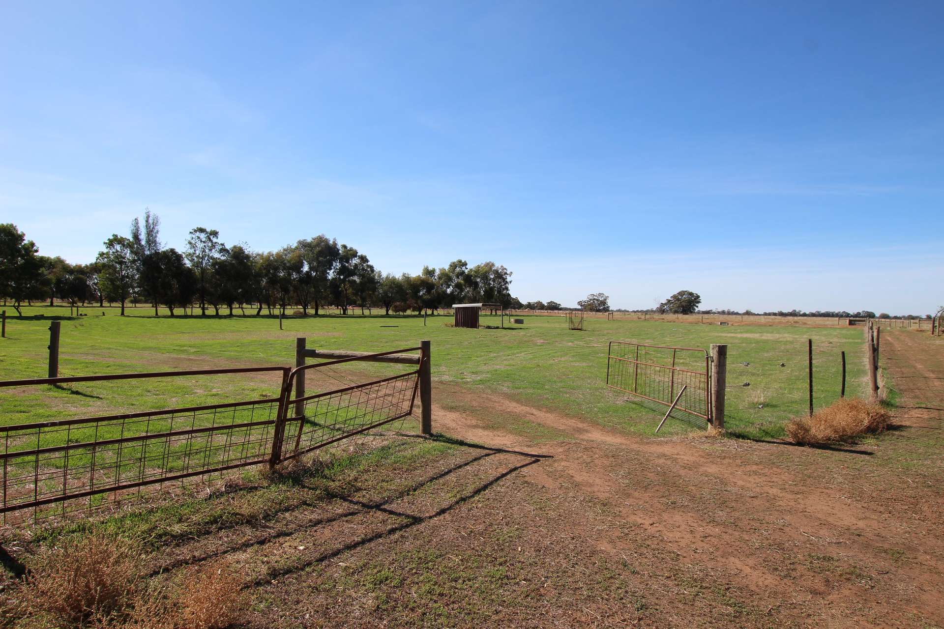 44 Johnson Road, Lockington For Sale by Farmbuy.com - image 29