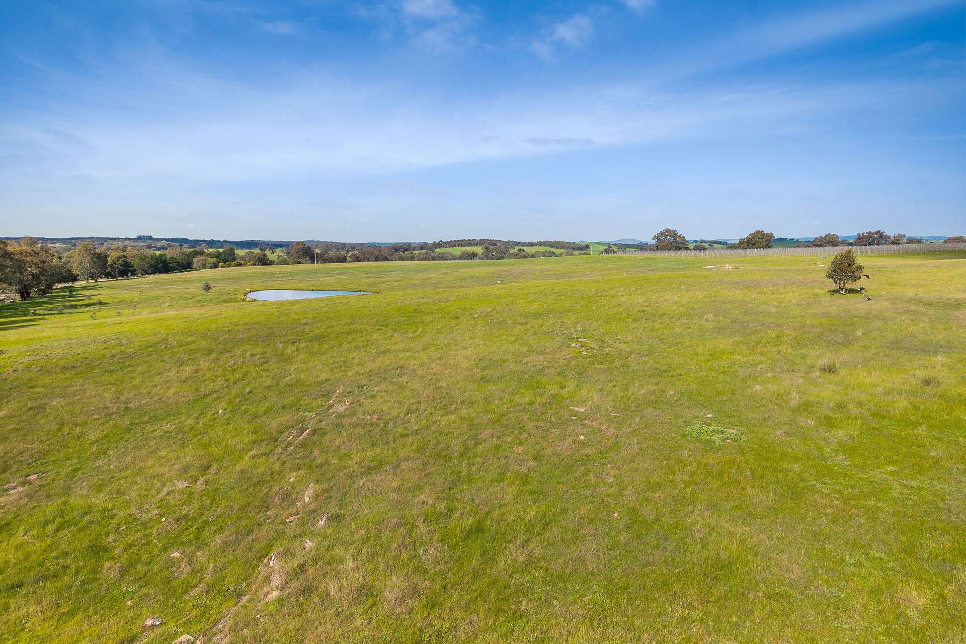Lot 2, 293 Adairs Lane, Heathcote For Sale by Farmbuy.com - image 5