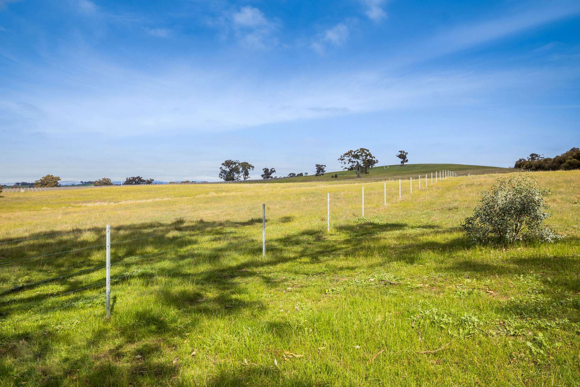 Lot 2, 293 Adairs Lane, Heathcote For Sale by Farmbuy.com - image 6