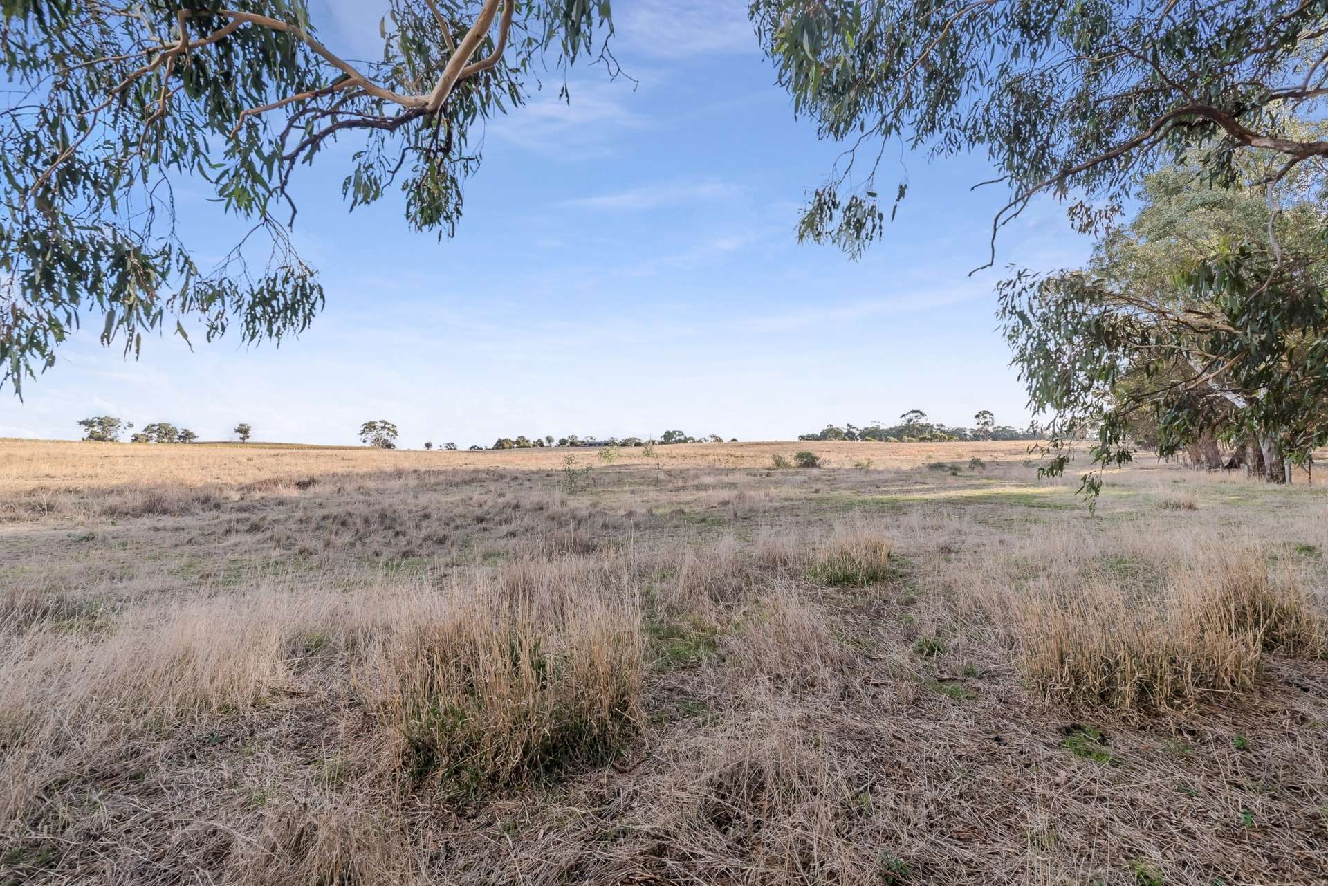 Lot 2, 293 Adairs Lane, Heathcote For Sale by Farmbuy.com - image 6