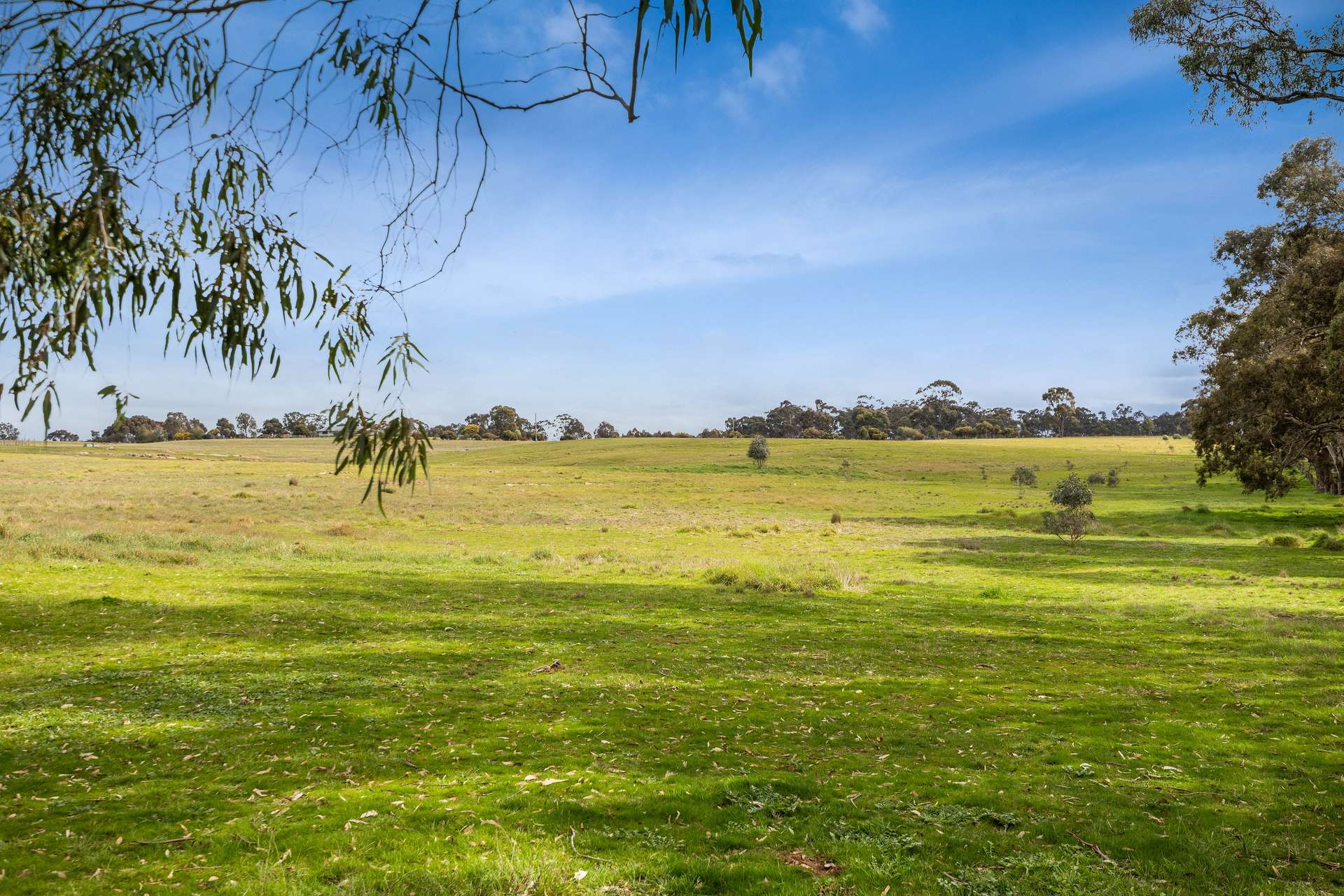 Lot 2, 293 Adairs Lane, Heathcote For Sale by Farmbuy.com - image 3