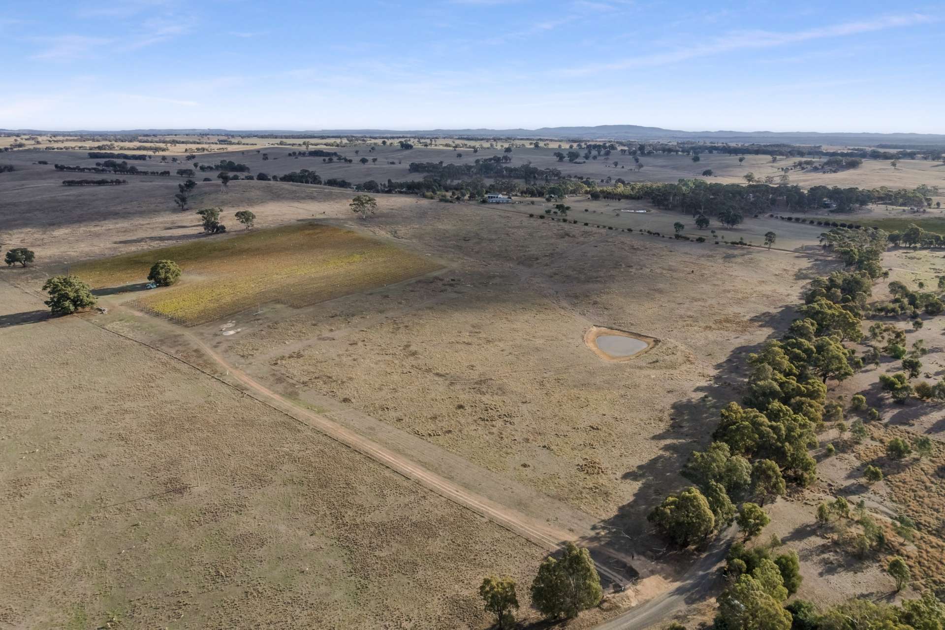 Lot 2, 293 Adairs Lane, Heathcote For Sale by Farmbuy.com - image 8