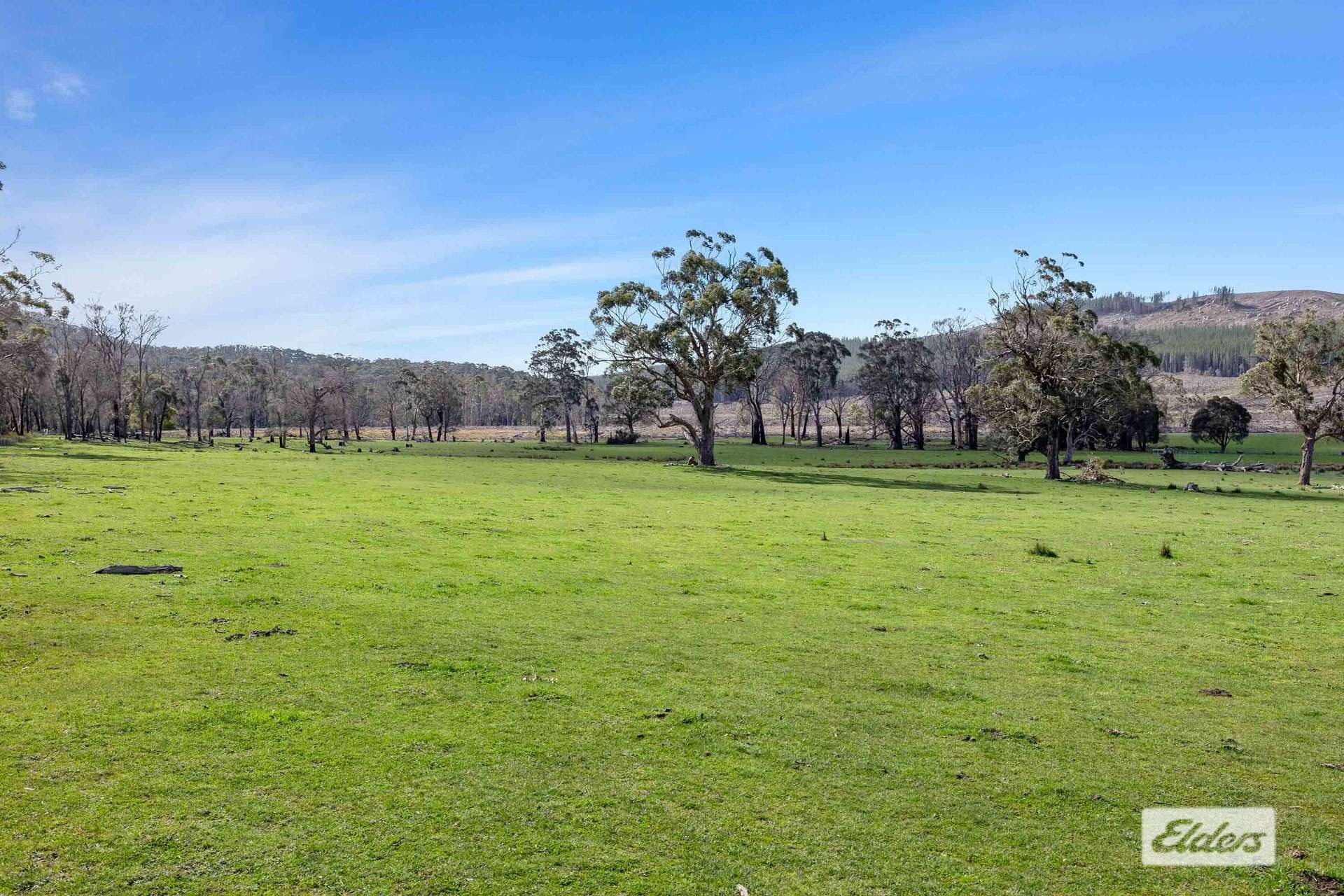 Lot 2,1002 Raglan-Elmhurst Road, Raglan Sold by Farmbuy.com - image 12