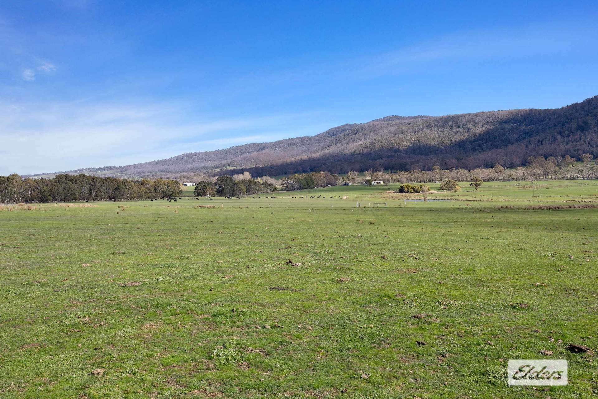 Lot 2,1002 Raglan-Elmhurst Road, Raglan Sold by Farmbuy.com - image 10