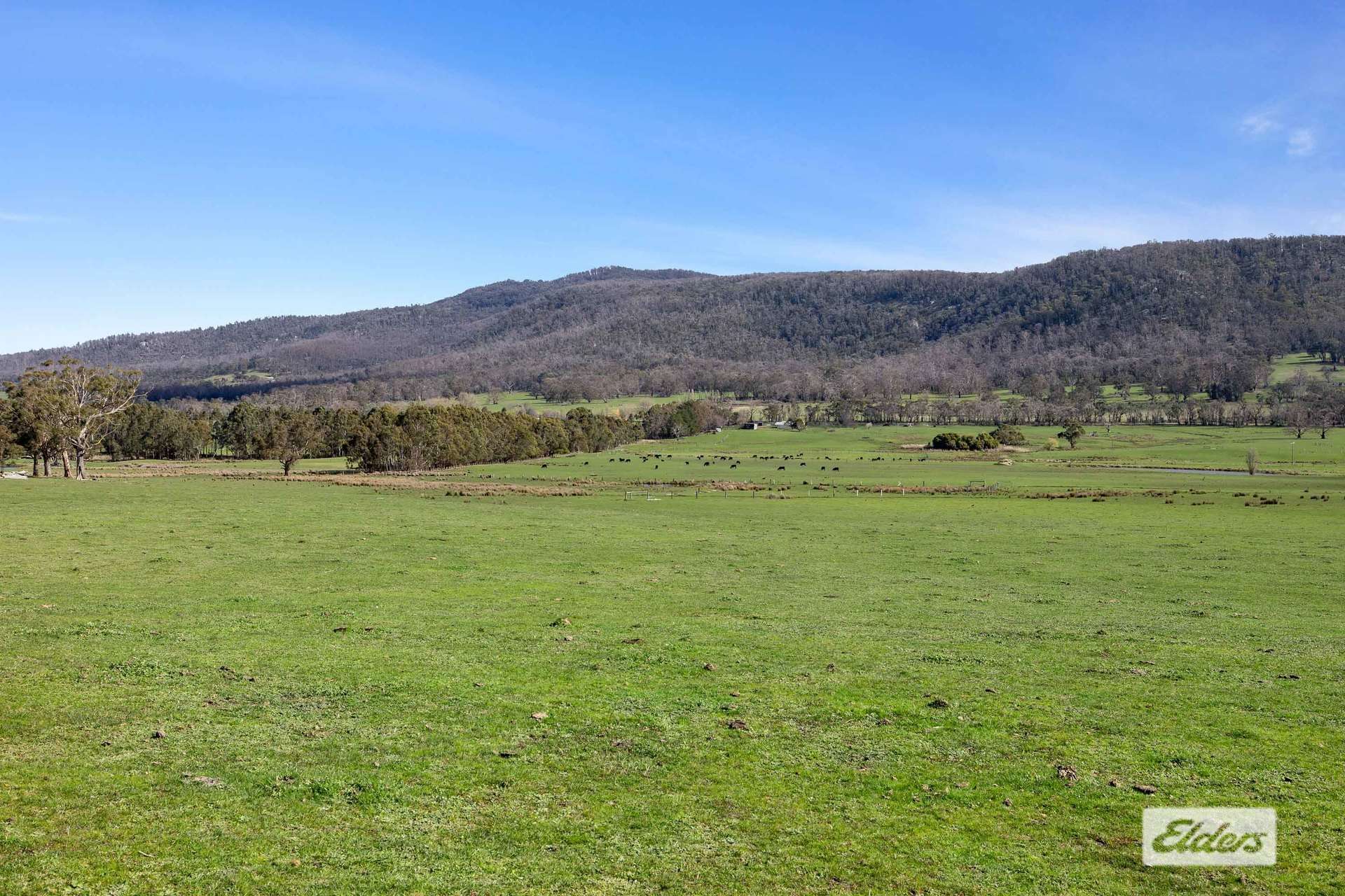 Lot 2,1002 Raglan-Elmhurst Road, Raglan Sold by Farmbuy.com - image 13