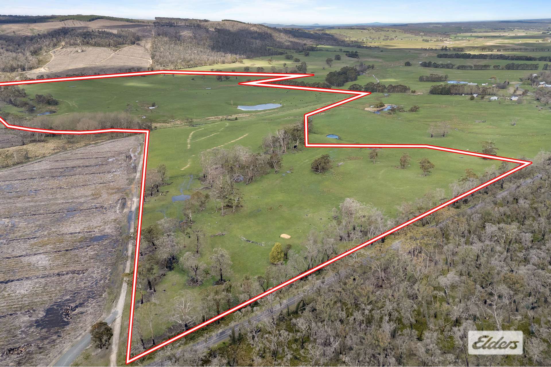 Lot 2,1002 Raglan-Elmhurst Road, Raglan Sold by Farmbuy.com - image 17