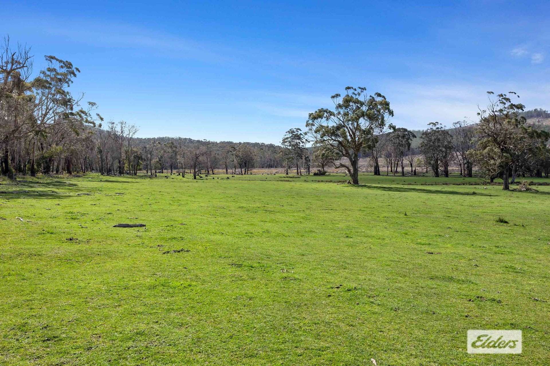 Lot 2,1002 Raglan-Elmhurst Road, Raglan Sold by Farmbuy.com - image 11