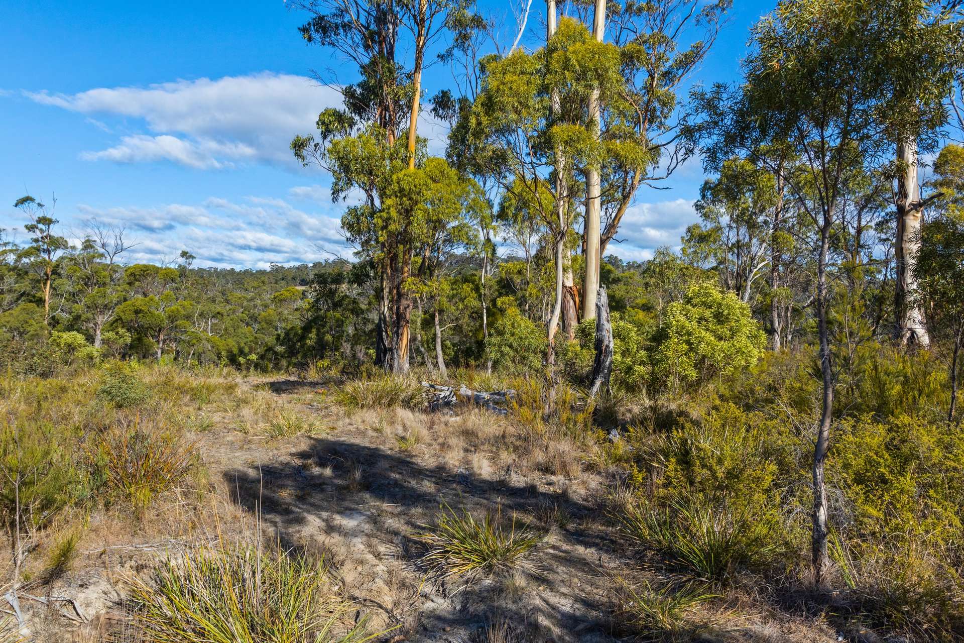 4017 Arthur Highway, Murdunna For Sale by Farmbuy.com - image 24