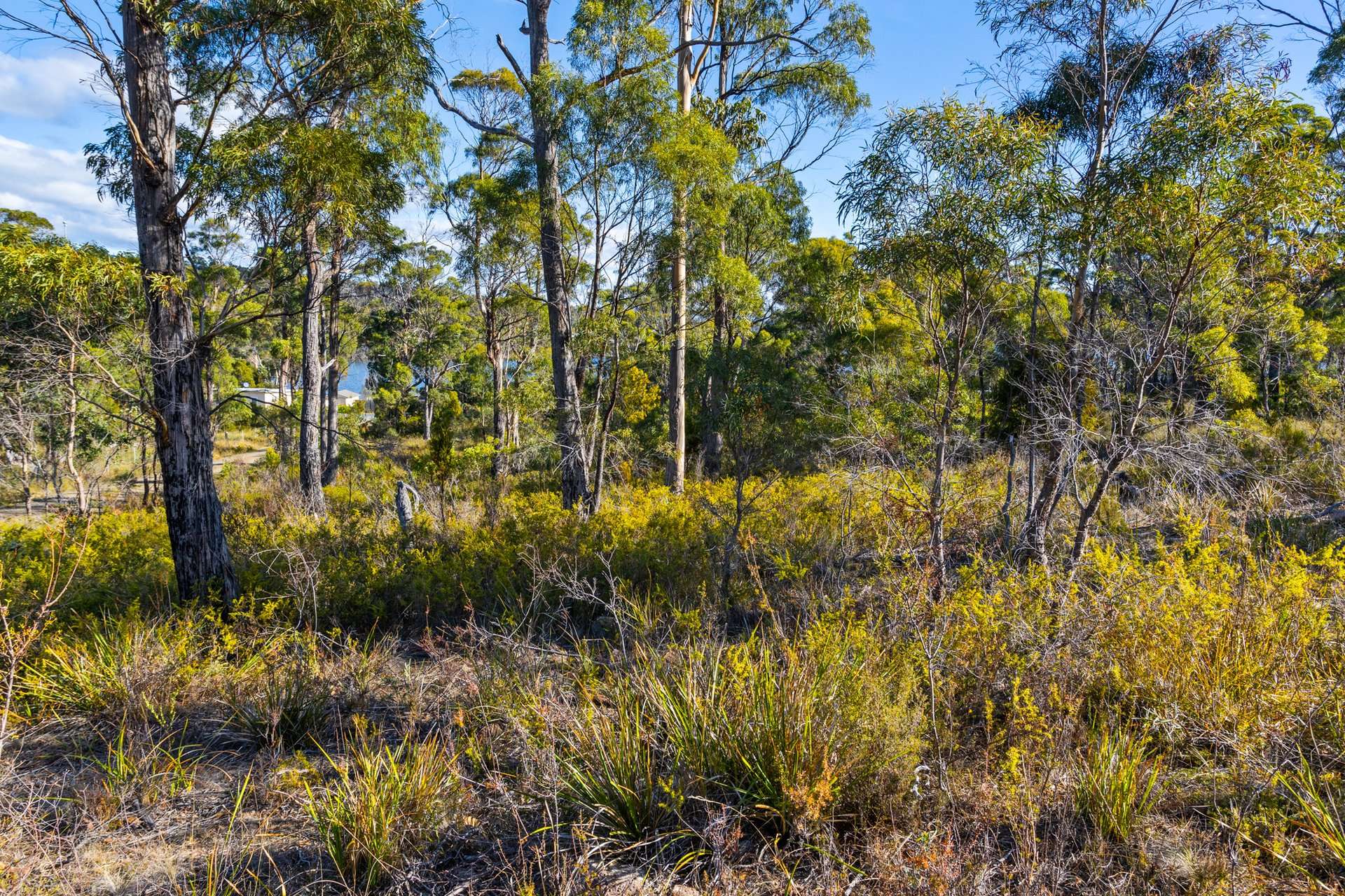 4017 Arthur Highway, Murdunna For Sale by Farmbuy.com - image 18