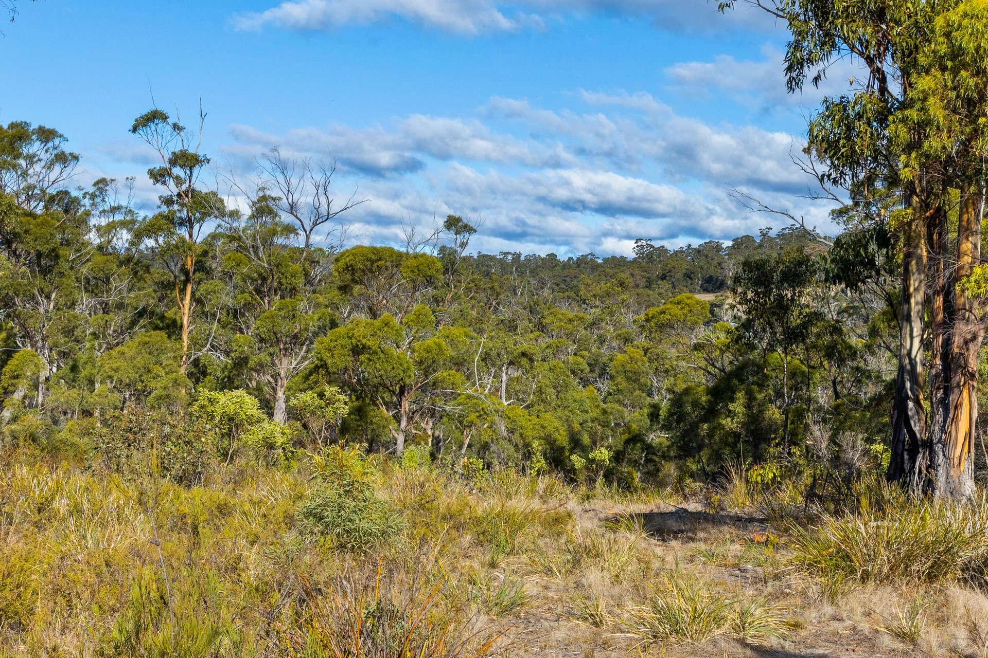 4017 Arthur Highway, Murdunna For Sale by Farmbuy.com - image 25