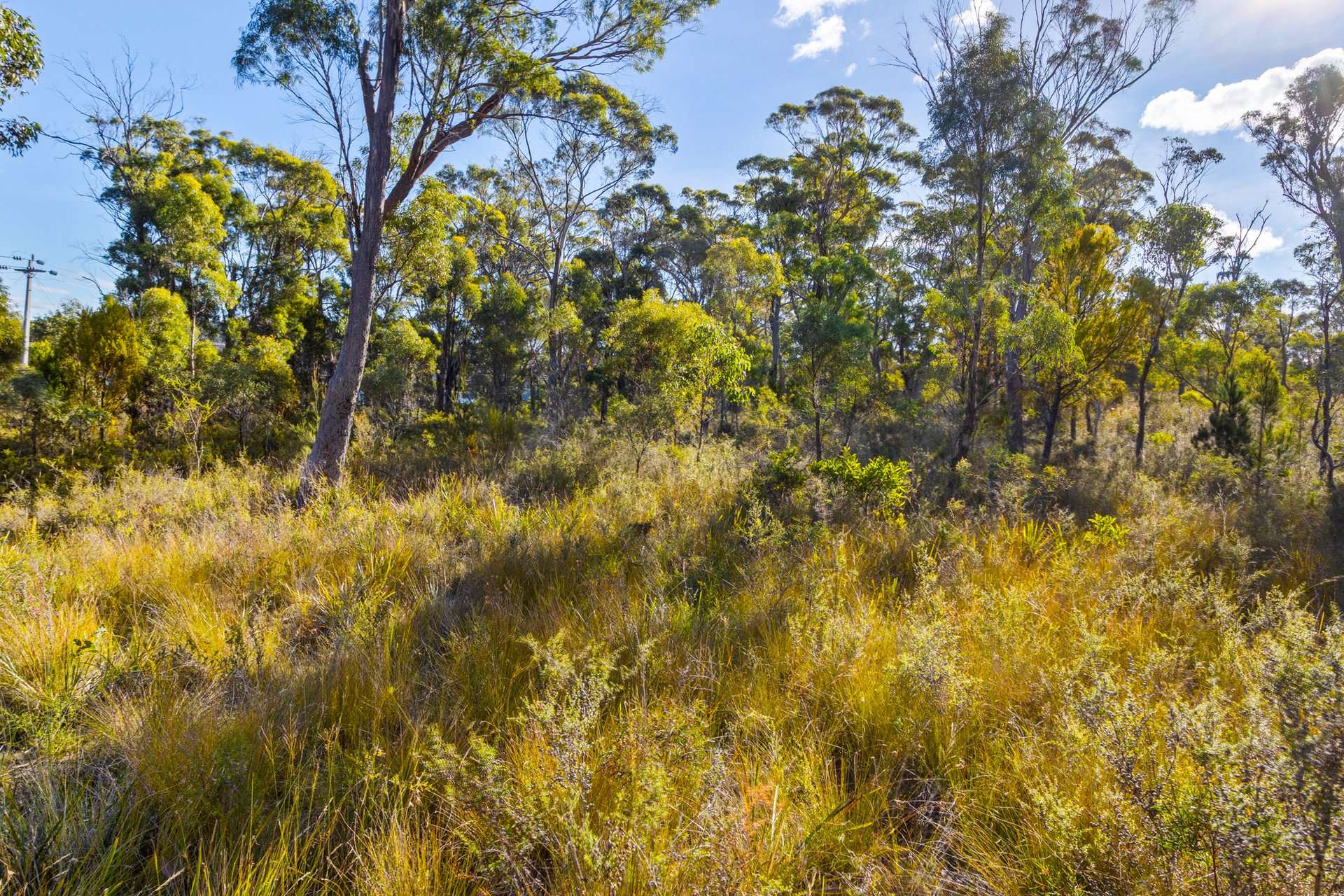 4017 Arthur Highway, Murdunna For Sale by Farmbuy.com - image 30