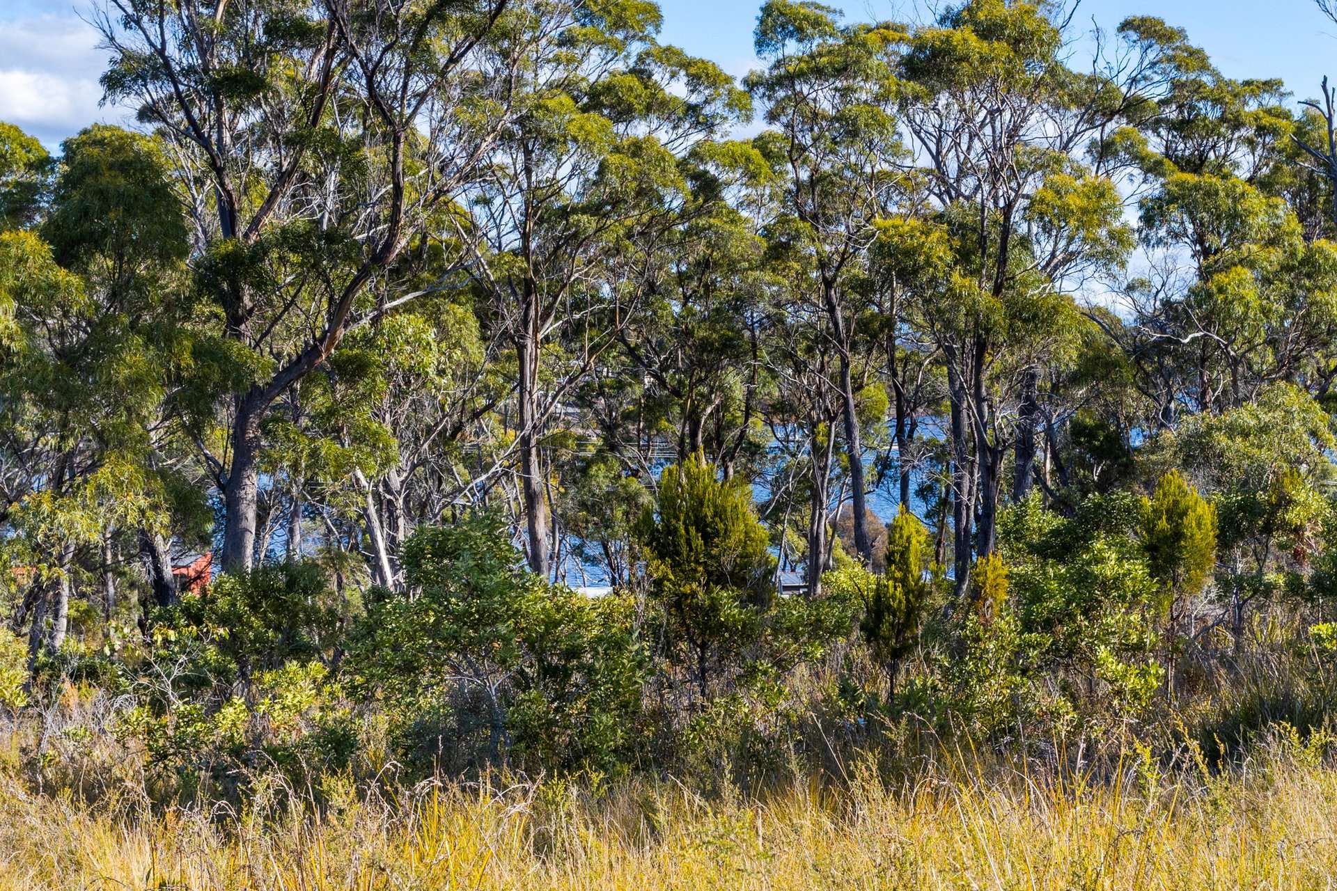 4017 Arthur Highway, Murdunna For Sale by Farmbuy.com - image 26