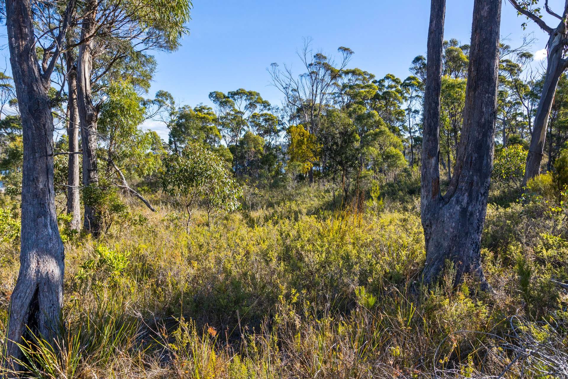 4017 Arthur Highway, Murdunna For Sale by Farmbuy.com - image 16