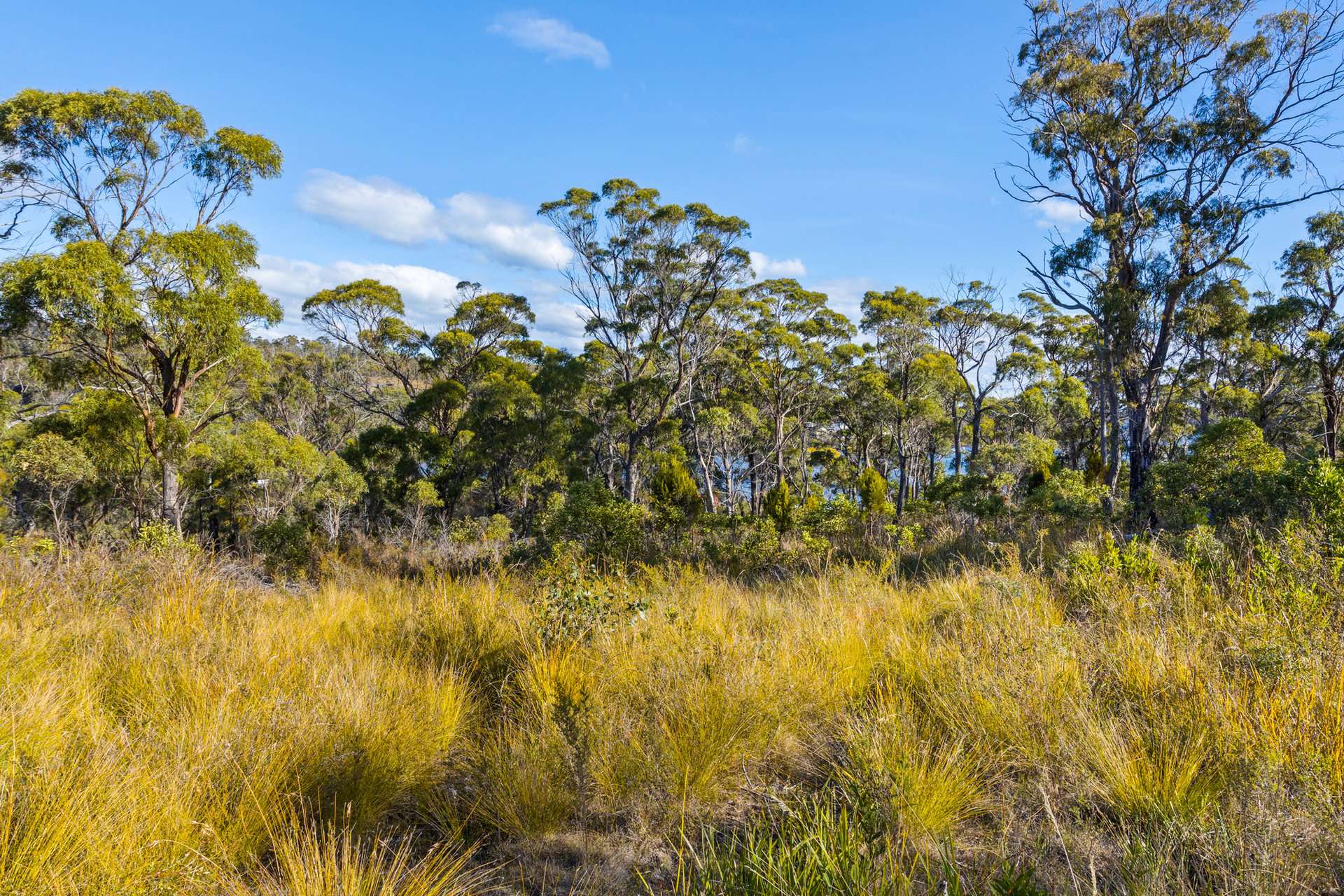 4017 Arthur Highway, Murdunna For Sale by Farmbuy.com - image 23