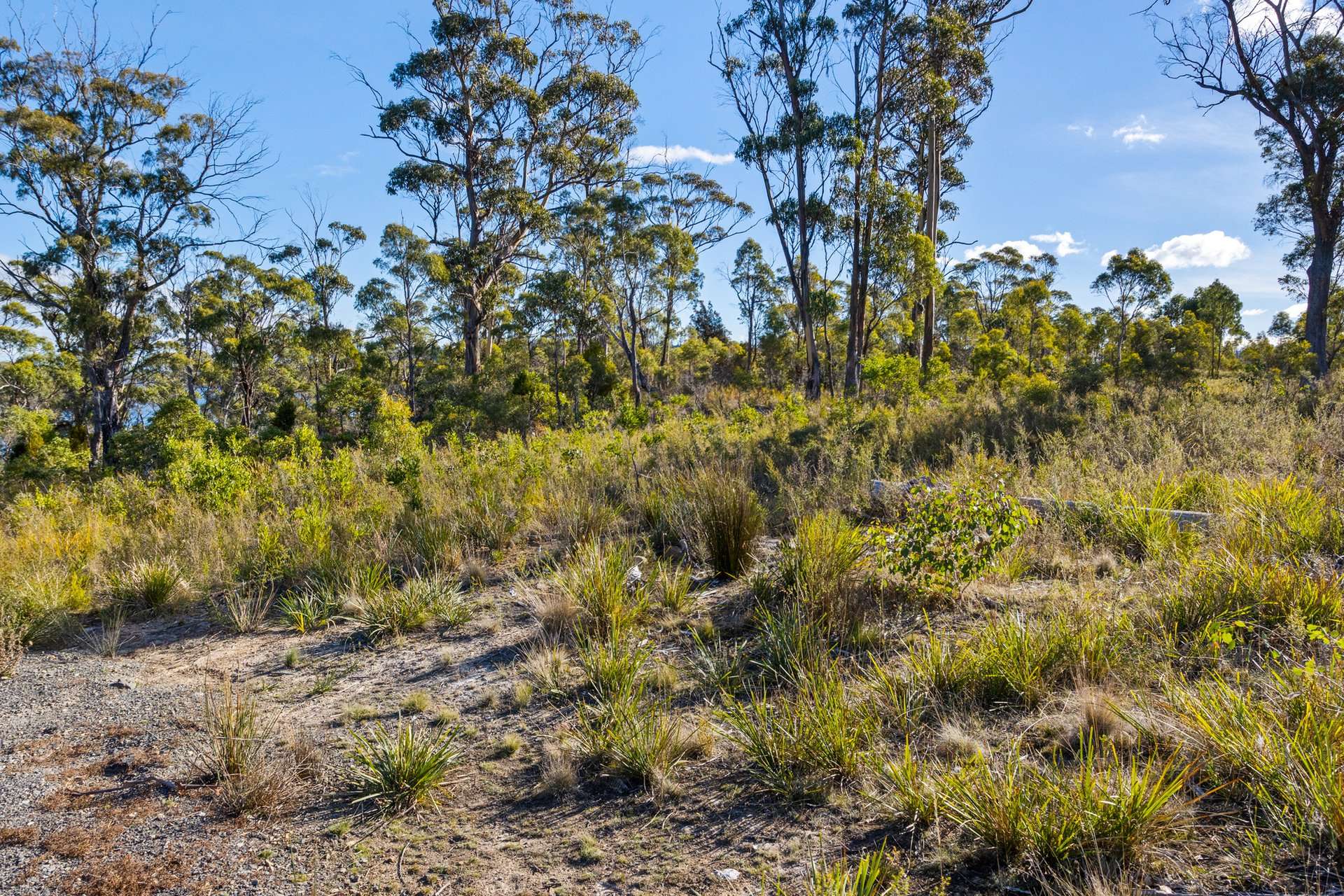 4017 Arthur Highway, Murdunna For Sale by Farmbuy.com - image 29