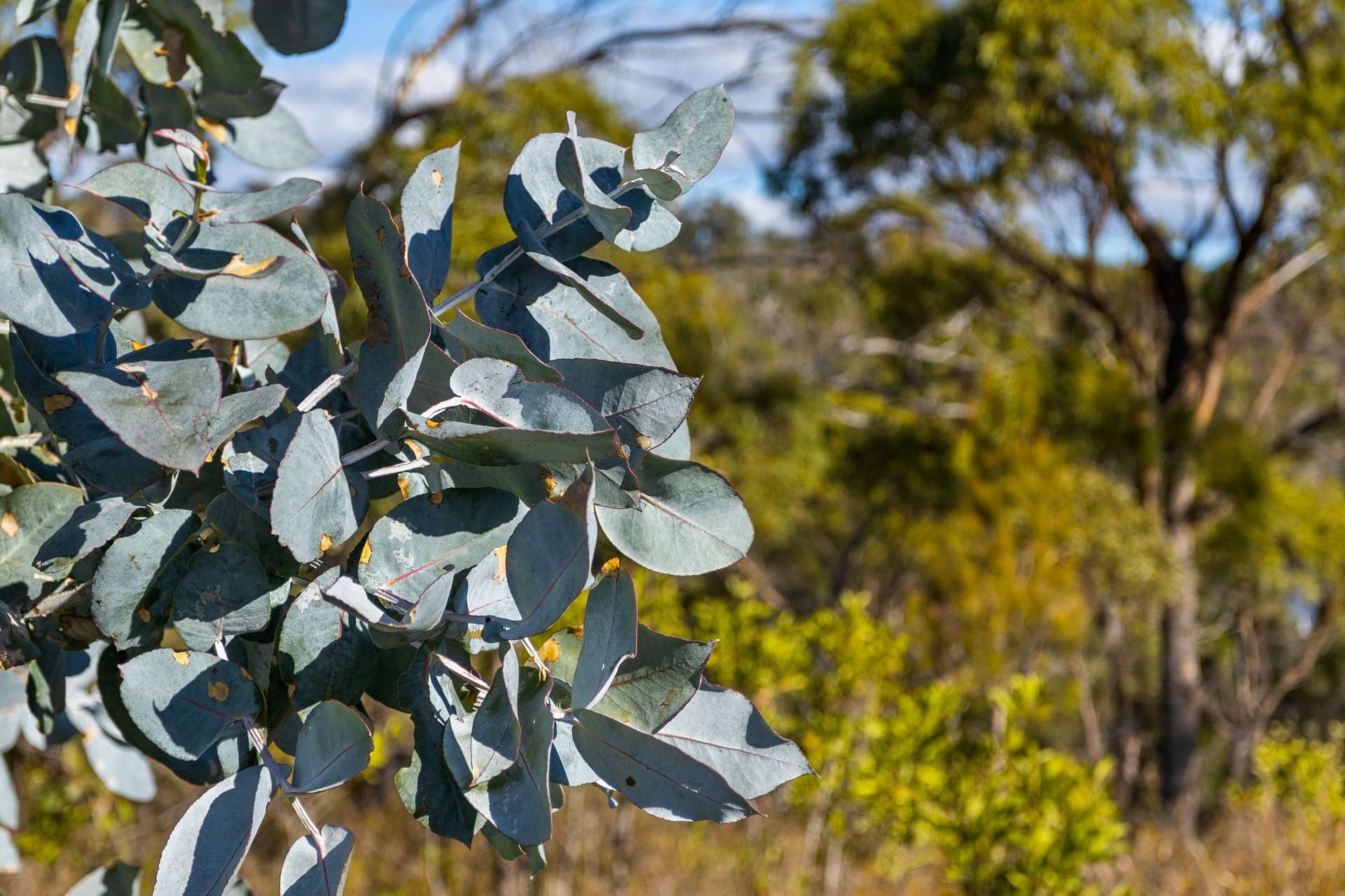 4017 Arthur Highway, Murdunna For Sale by Farmbuy.com - image 21