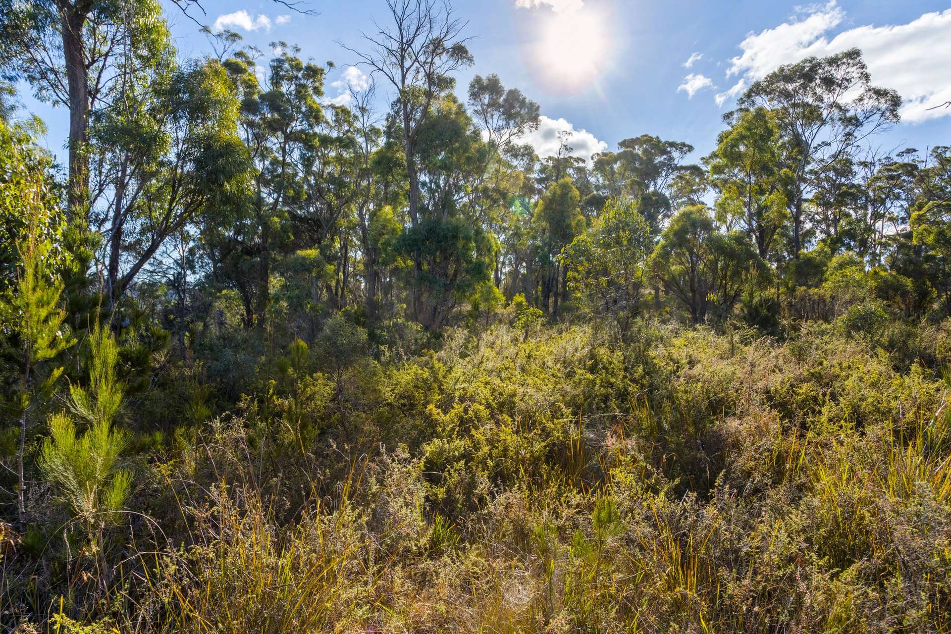 4017 Arthur Highway, Murdunna For Sale by Farmbuy.com - image 27