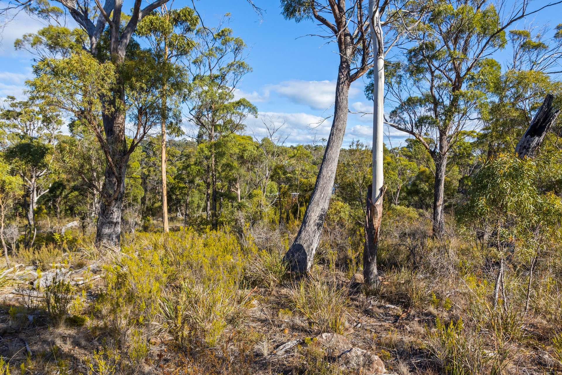 4017 Arthur Highway, Murdunna For Sale by Farmbuy.com - image 20