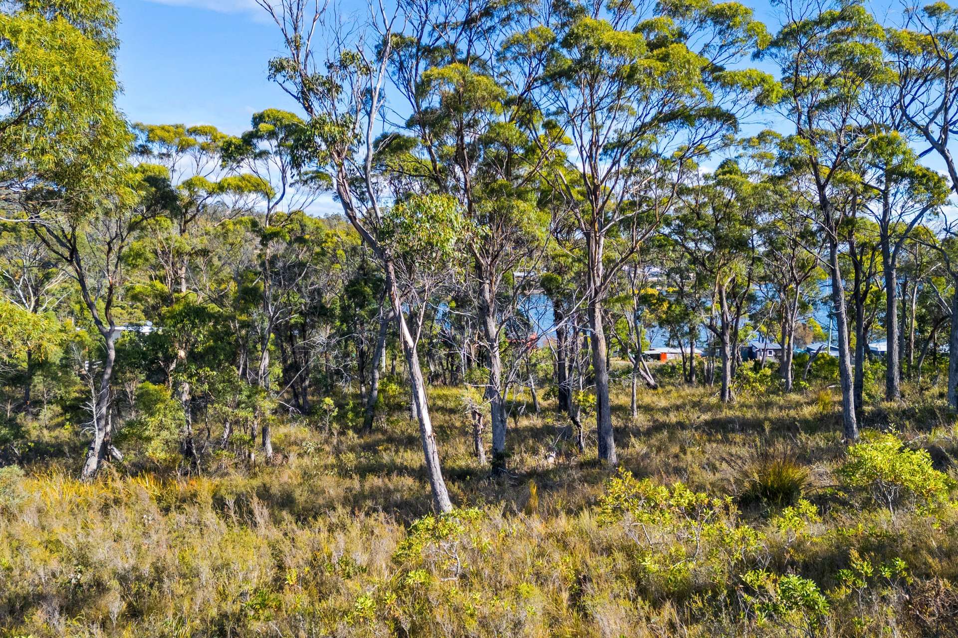 4017 Arthur Highway, Murdunna For Sale by Farmbuy.com - image 14