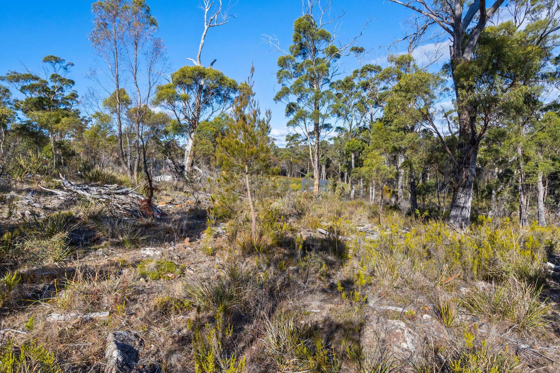 4017 Arthur Highway, Murdunna For Sale by Farmbuy.com - image 19