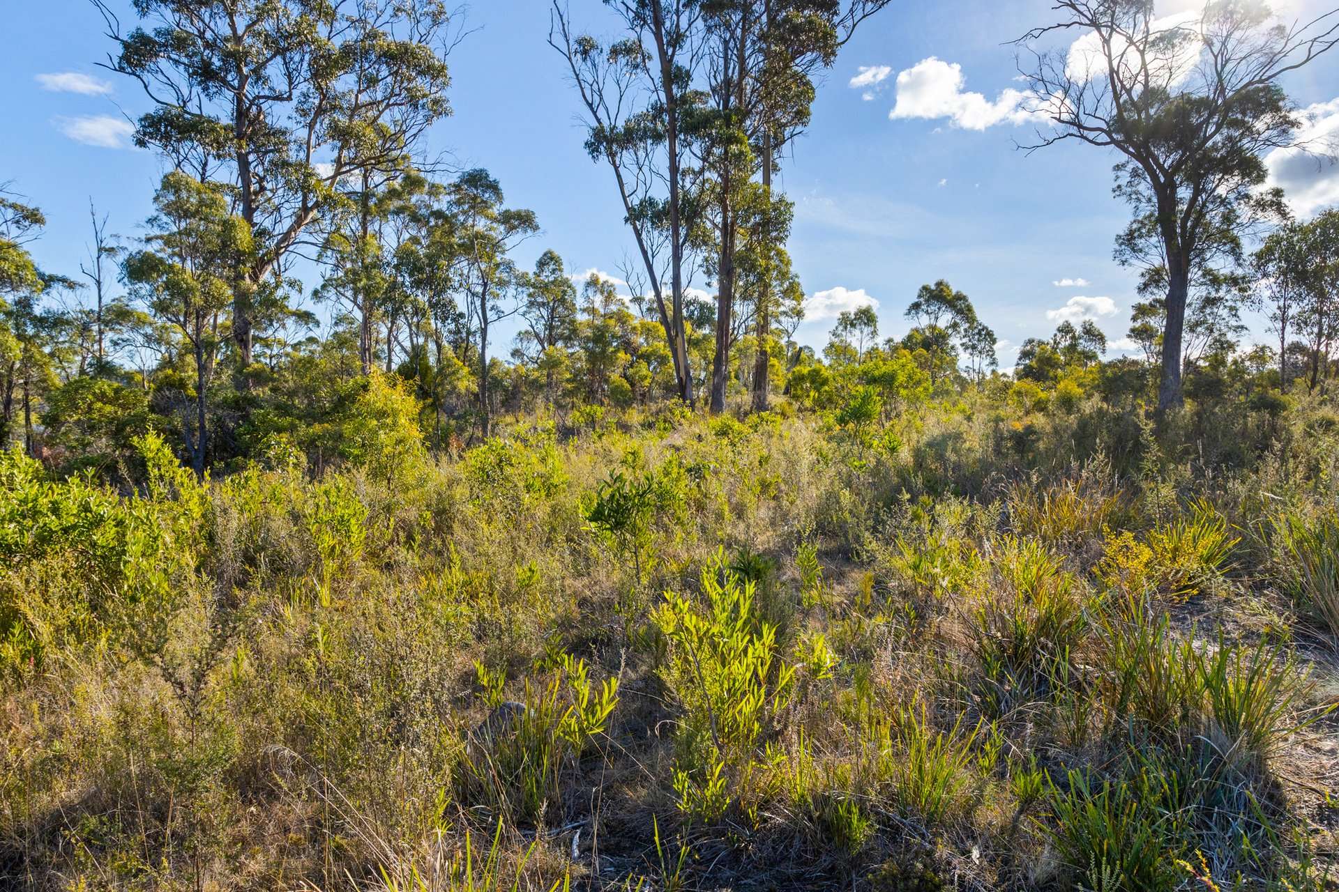 4017 Arthur Highway, Murdunna For Sale by Farmbuy.com - image 28