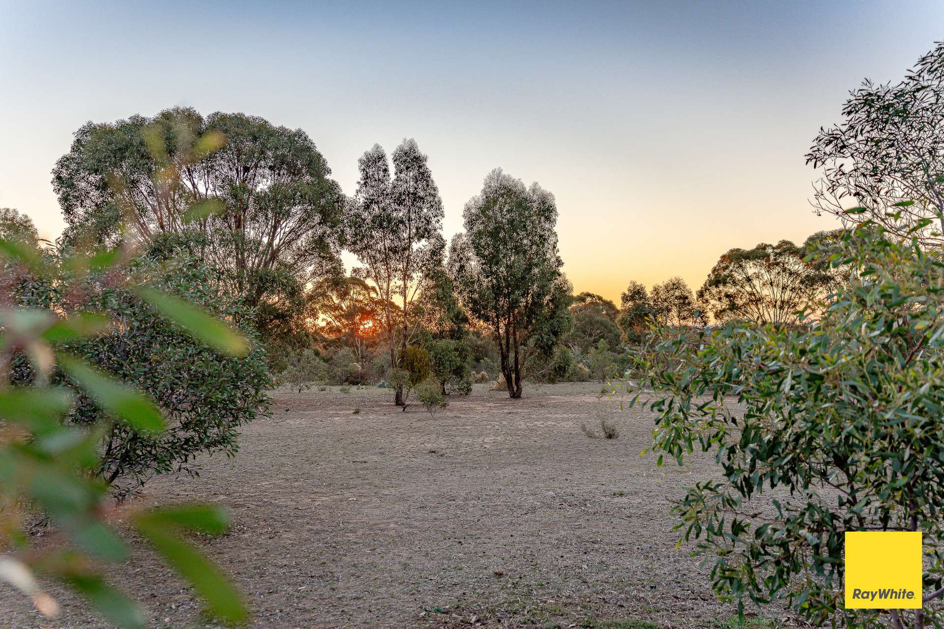 518 Mount Back Road, Tarrengower For Sale by Farmbuy.com - image 34